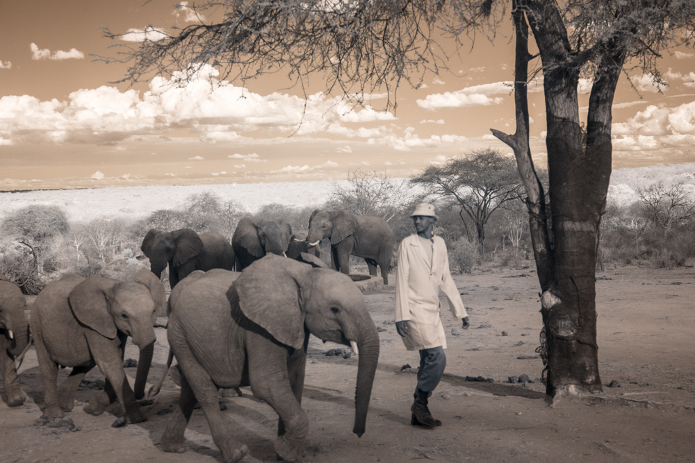 TerriGold_Kenya-15.jpg