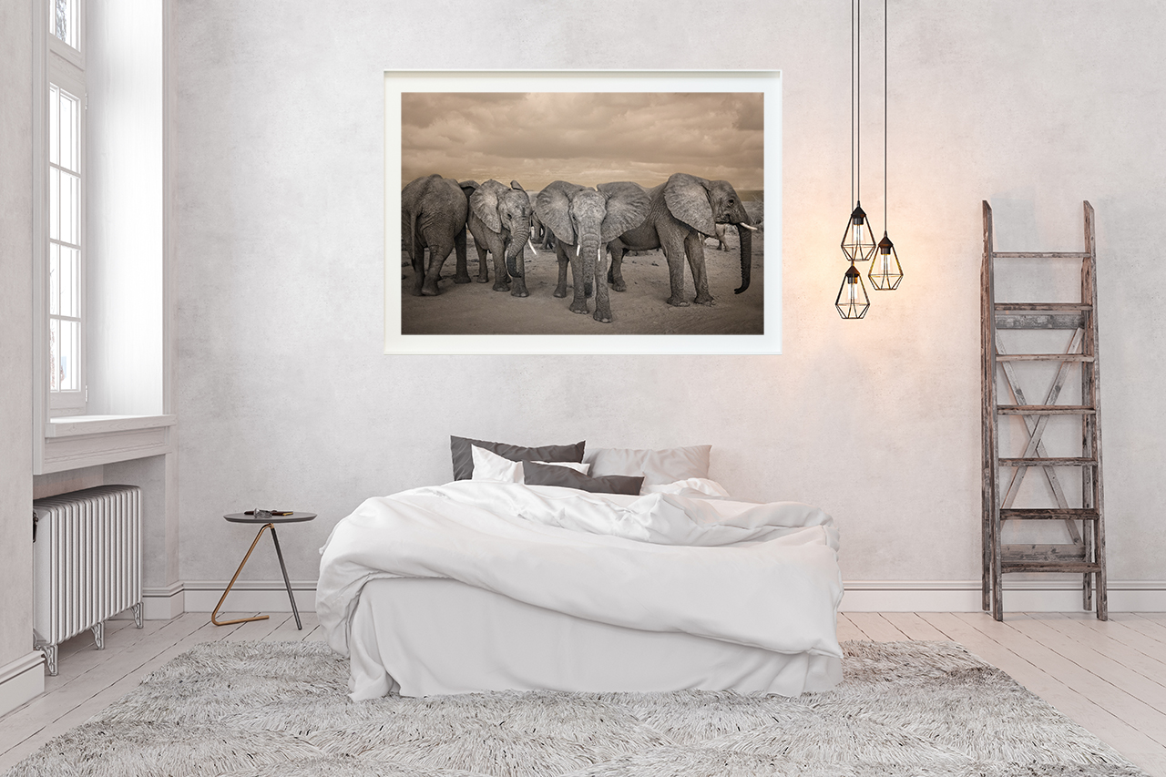 bedroom_elephants_Websize.jpg