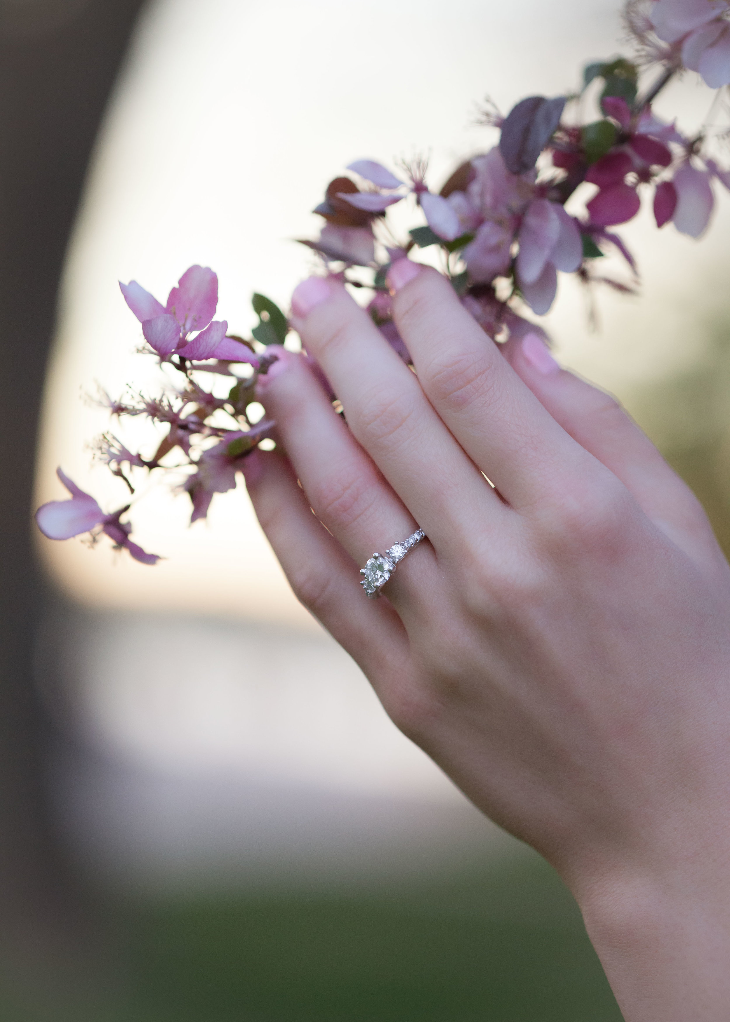 Nefi & Emily Proposal in DC - 006.jpg