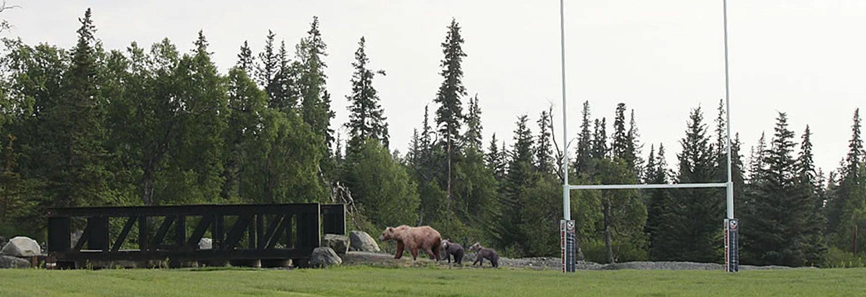 AK Rugby.jpg