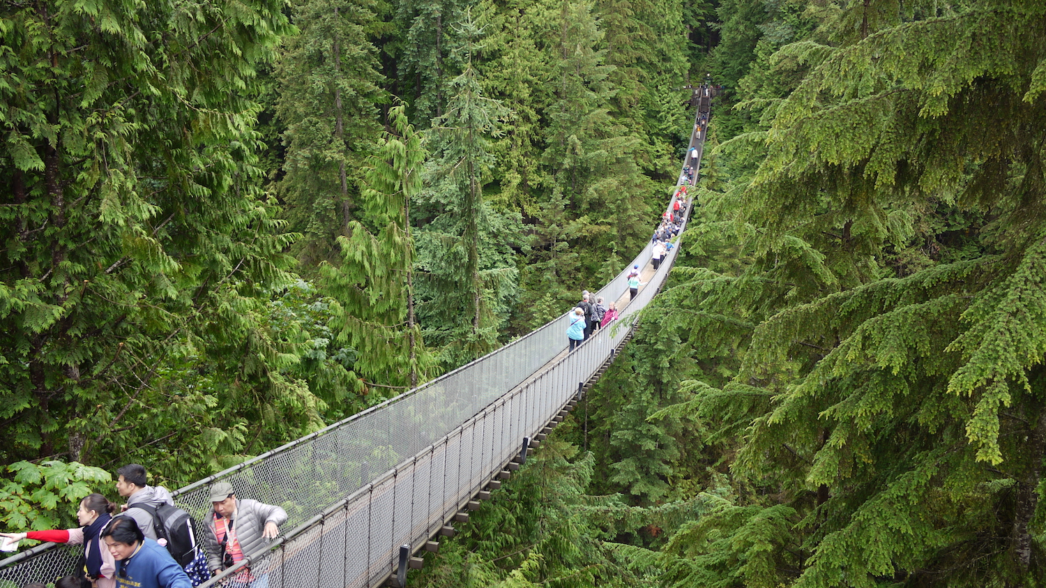 Capilano Suspension Bridge, Vancouver