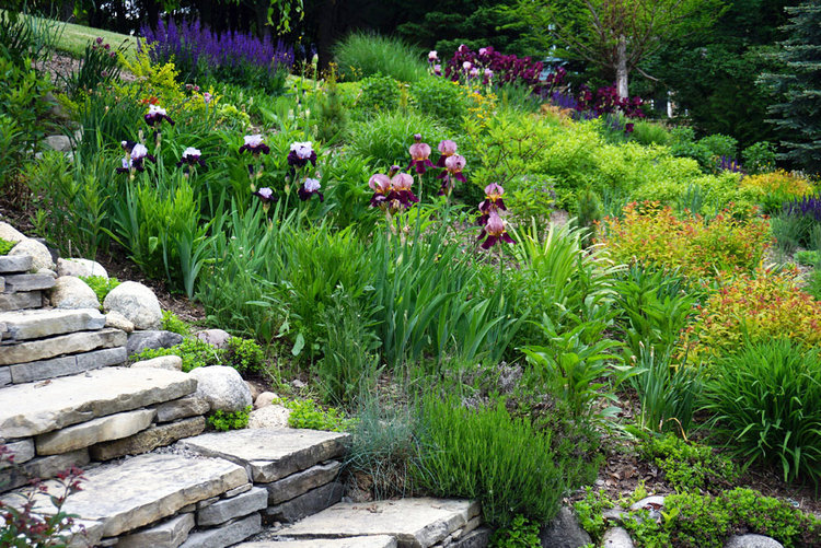 Landscaping Steep Slopes, Hillside Landscapes