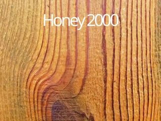 Honey_2000_resized.jpg