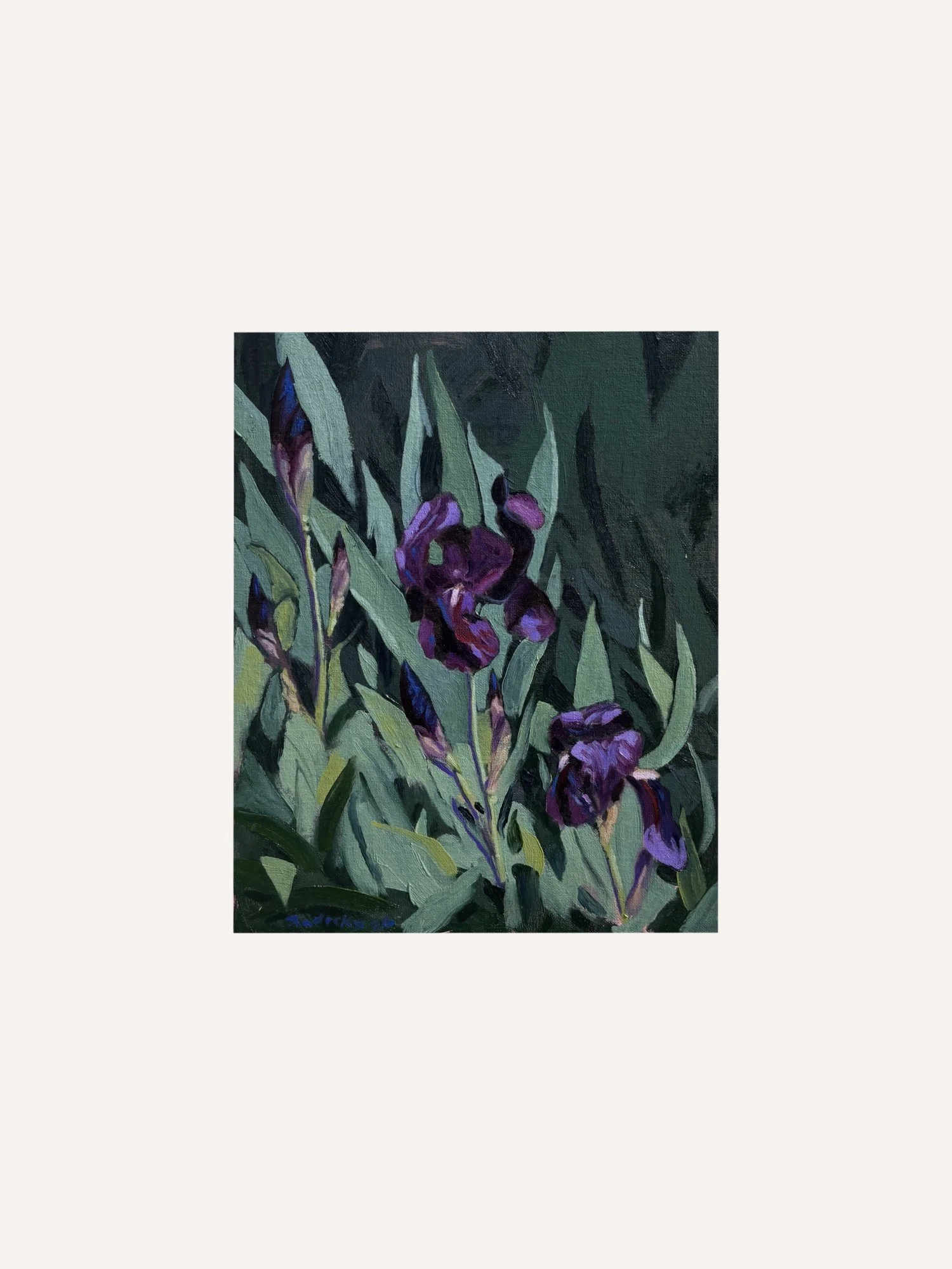Untitled_Artwork.jpeg