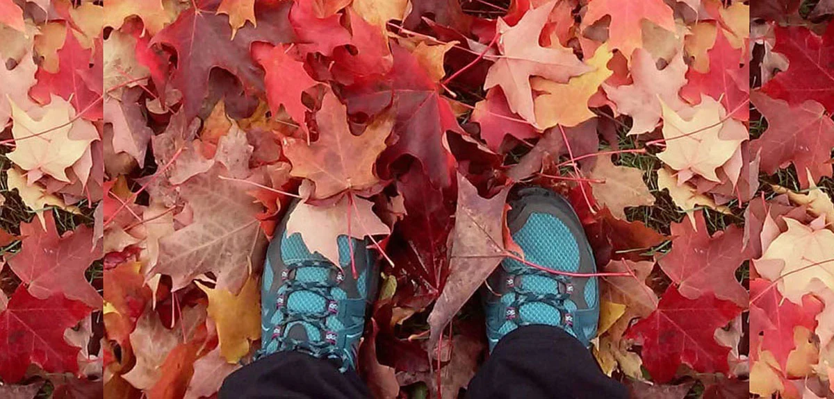 feet and leaves extended.jpg