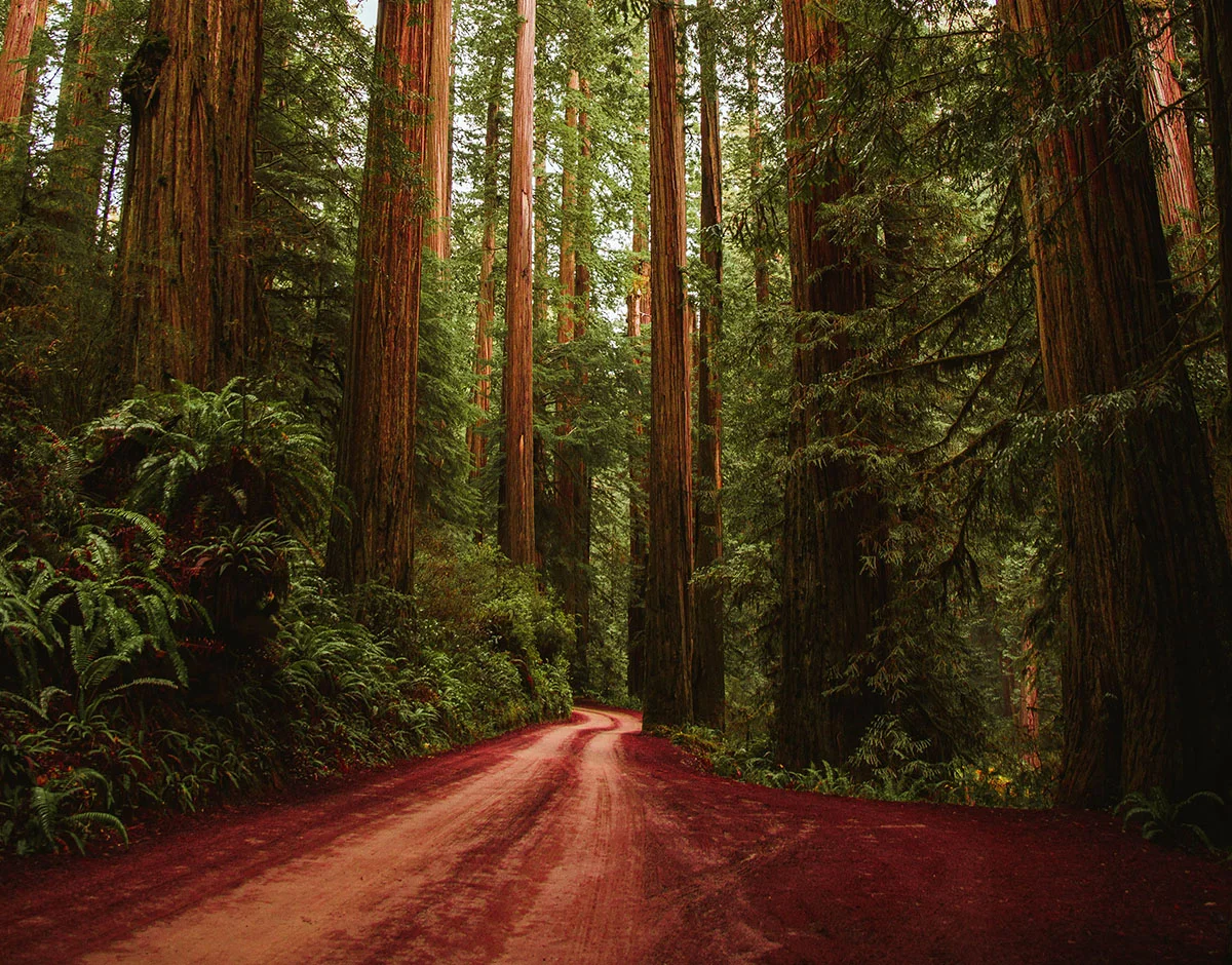 connor-limbocker-502154-unsplash-GZ.jpg