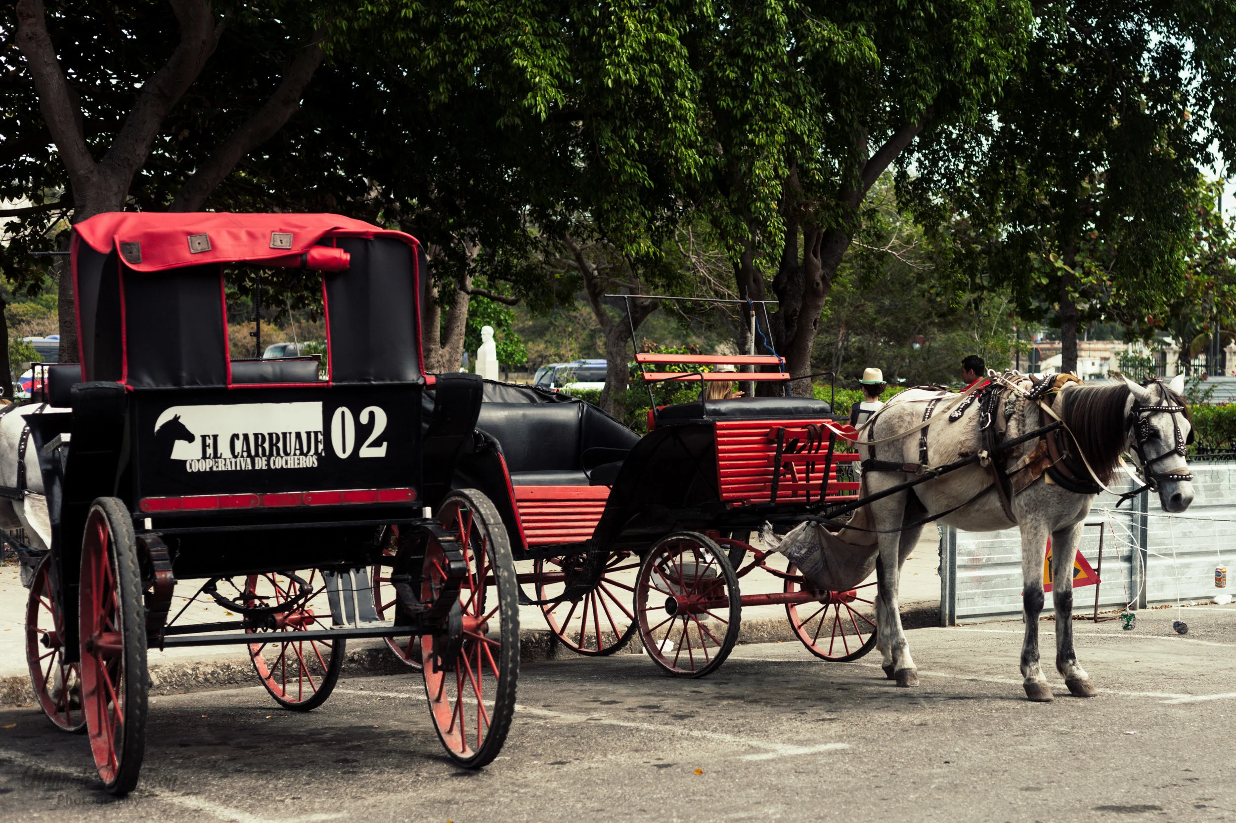 Cuba_Jan19-13.jpg