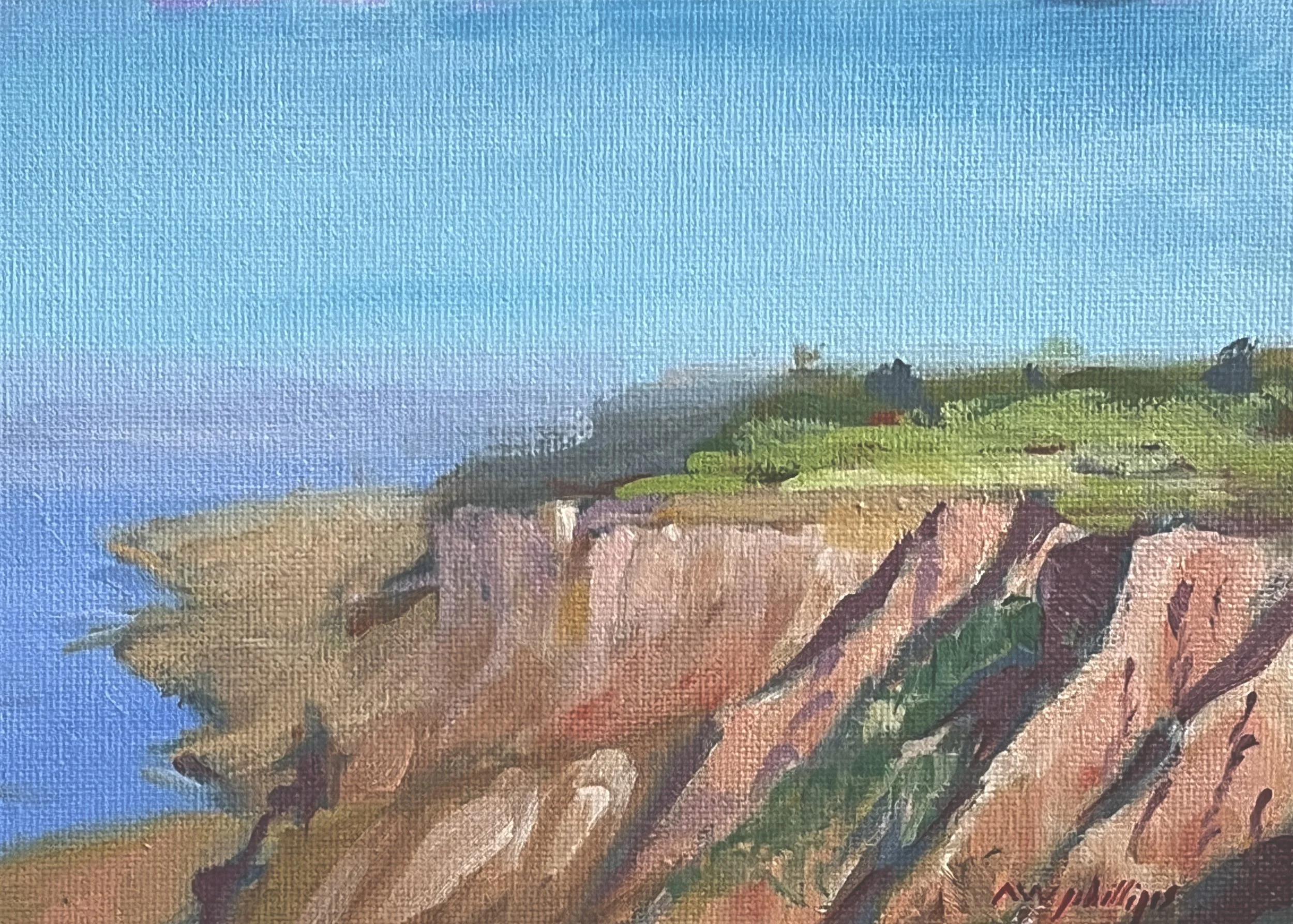 Torrey Pines cliffs.jpg