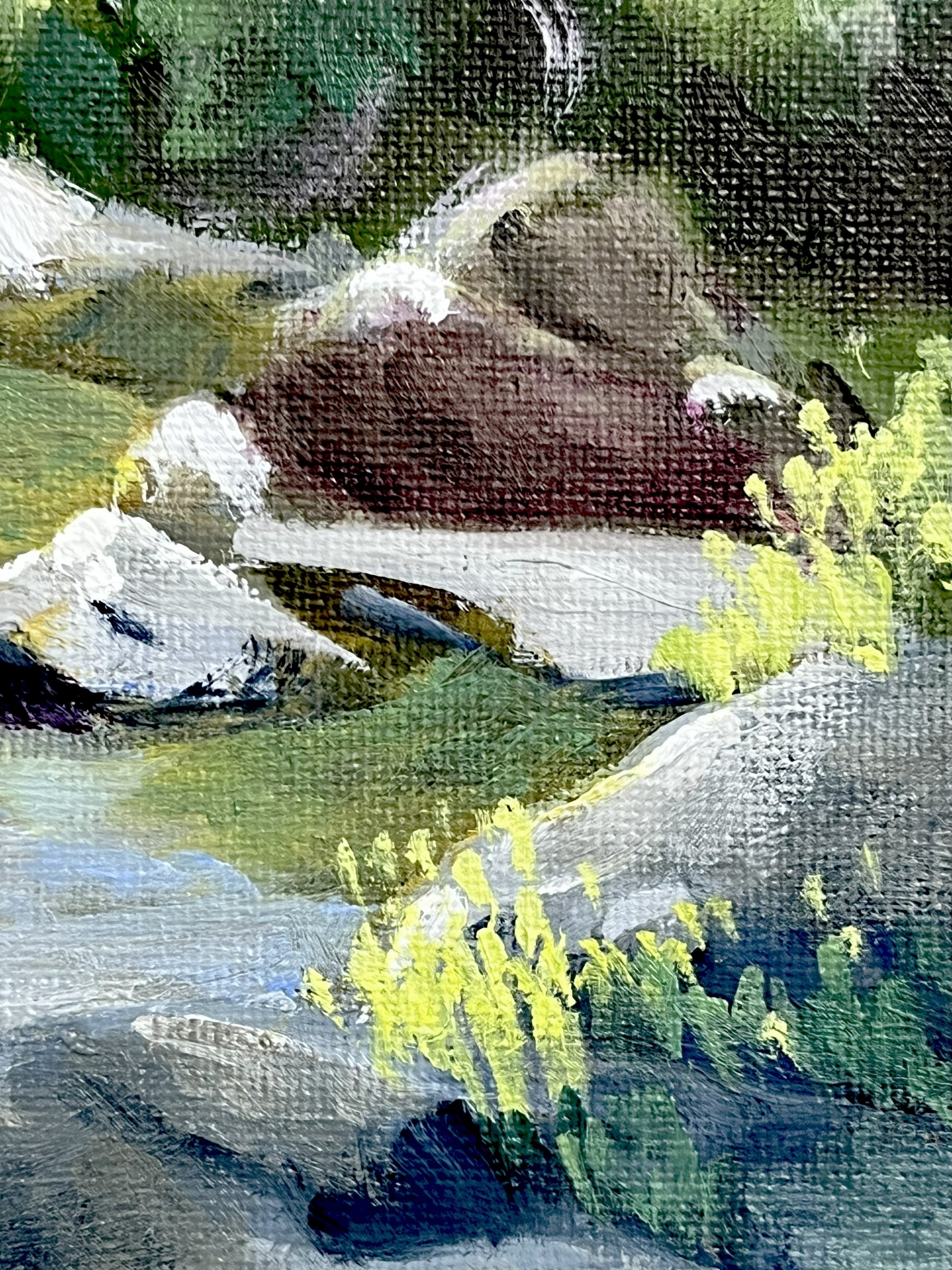 Walnut Creek close up 1.jpg