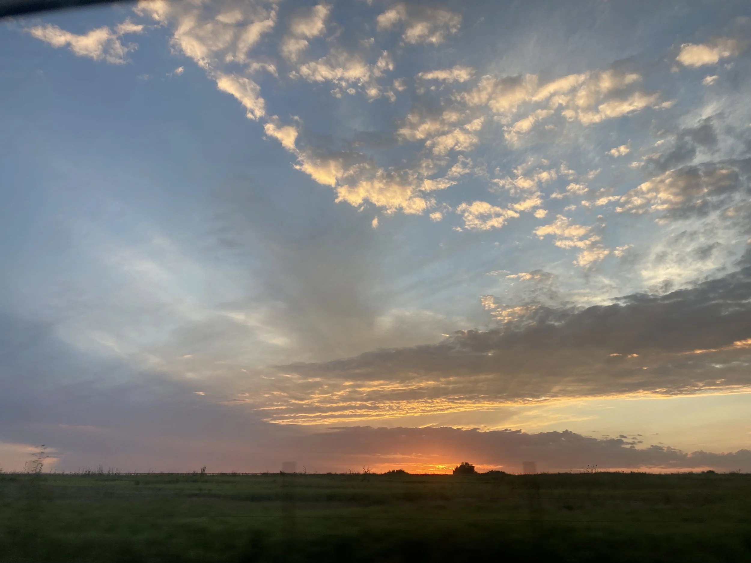 IMG_8417.jpeg