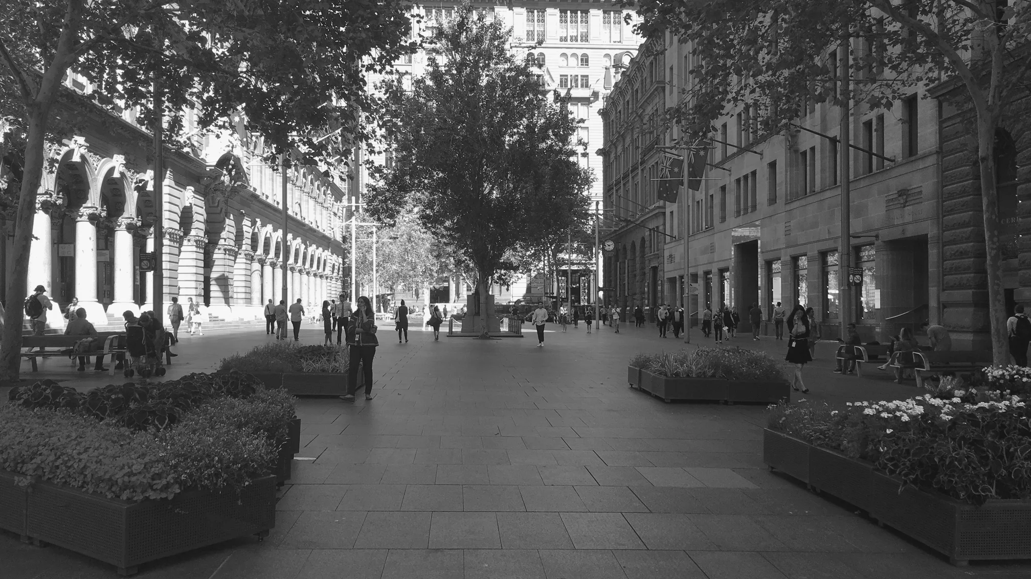 Martin Place 1 EDIT.jpg