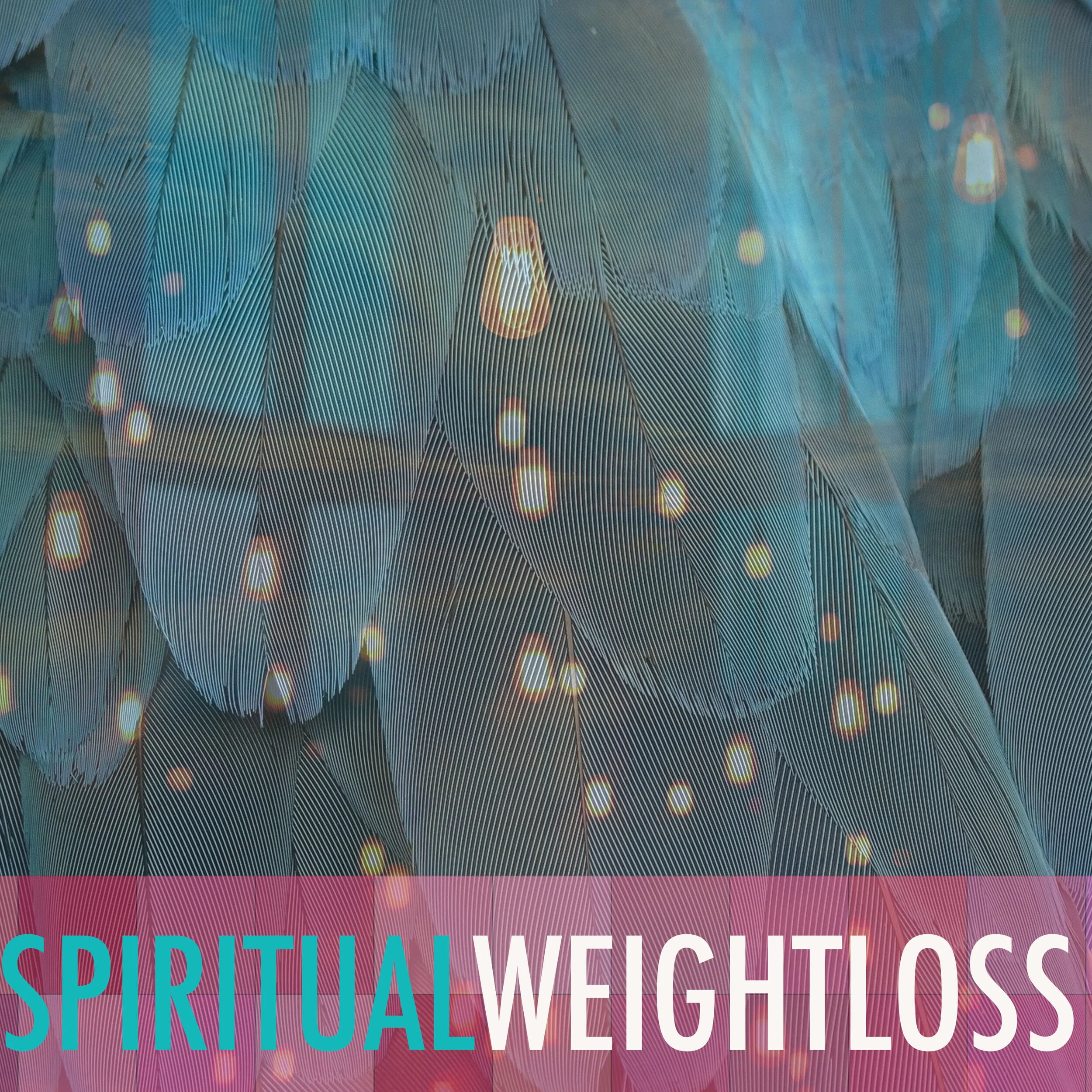 MEDITATION (channeled):  Spiritual Weightloss