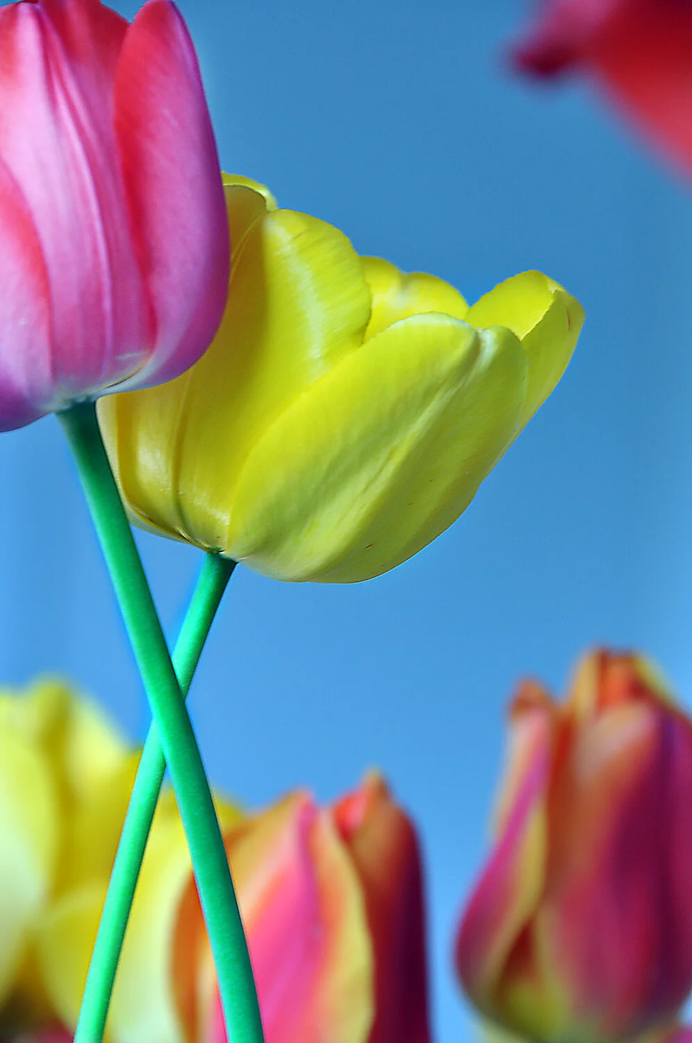 stadtpark05.10 (2).jpg