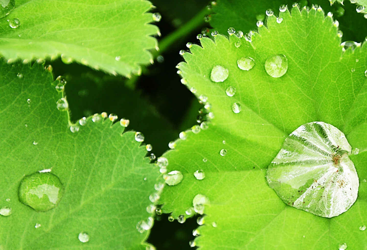 stadtpark05.10 (4).jpg