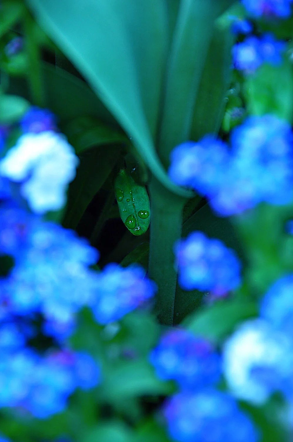 stadtpark05.10 (7).jpg