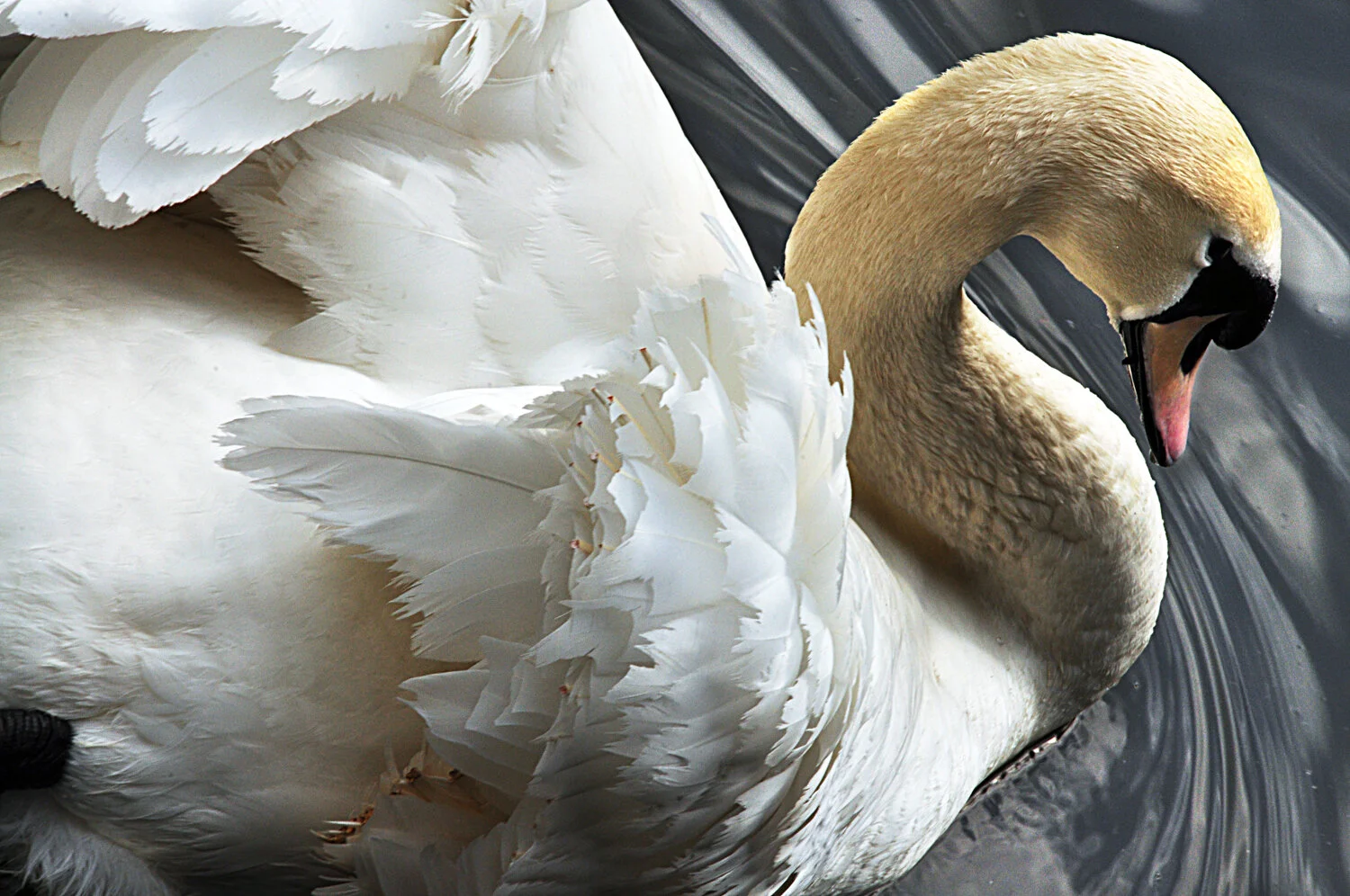 stadtpark05.10 (6).jpg