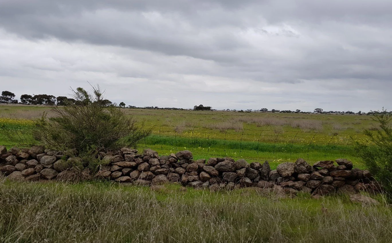 Western Grasslands — BMDA Development Advisory