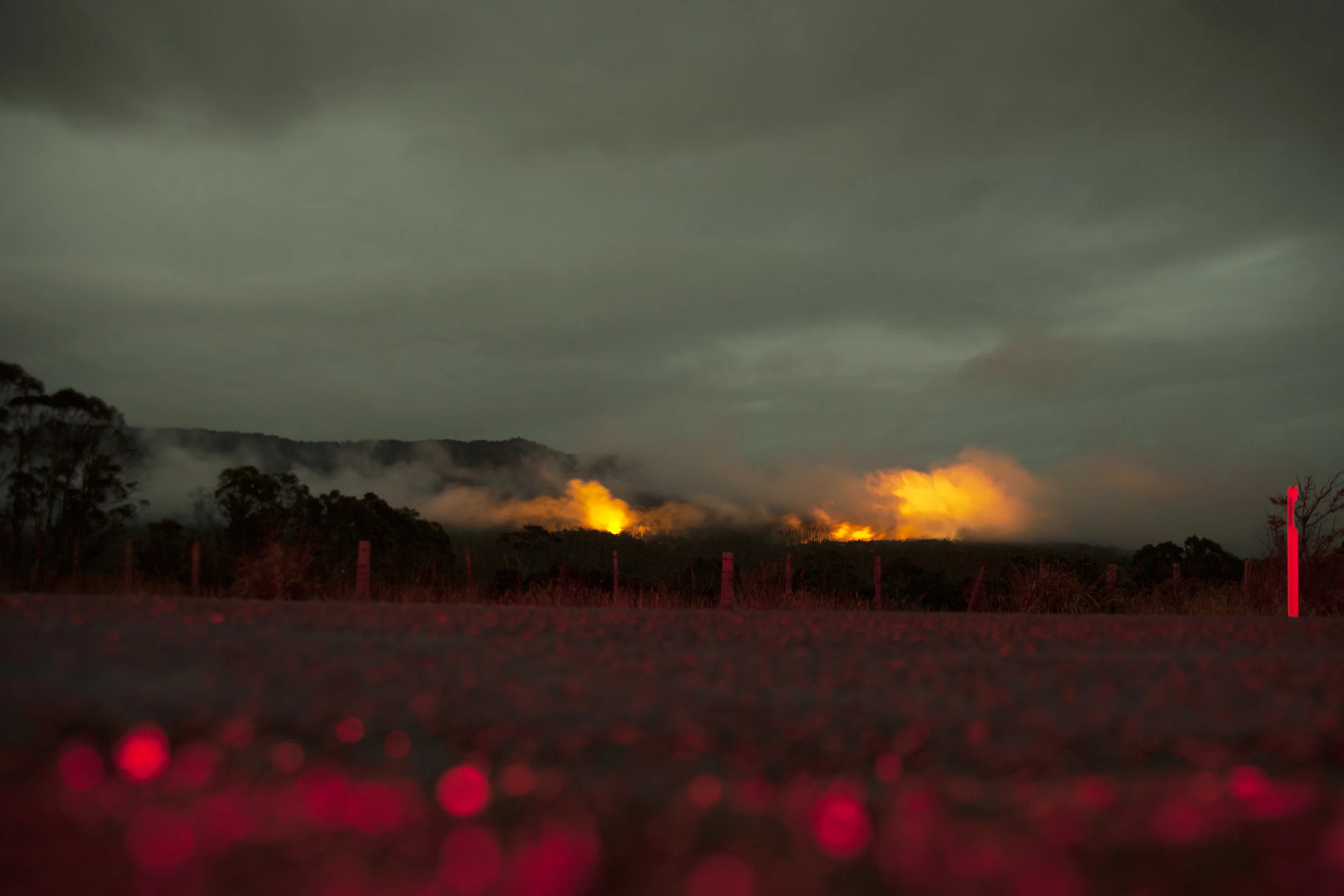 IMG_1507 as Smart Object-1.jpg