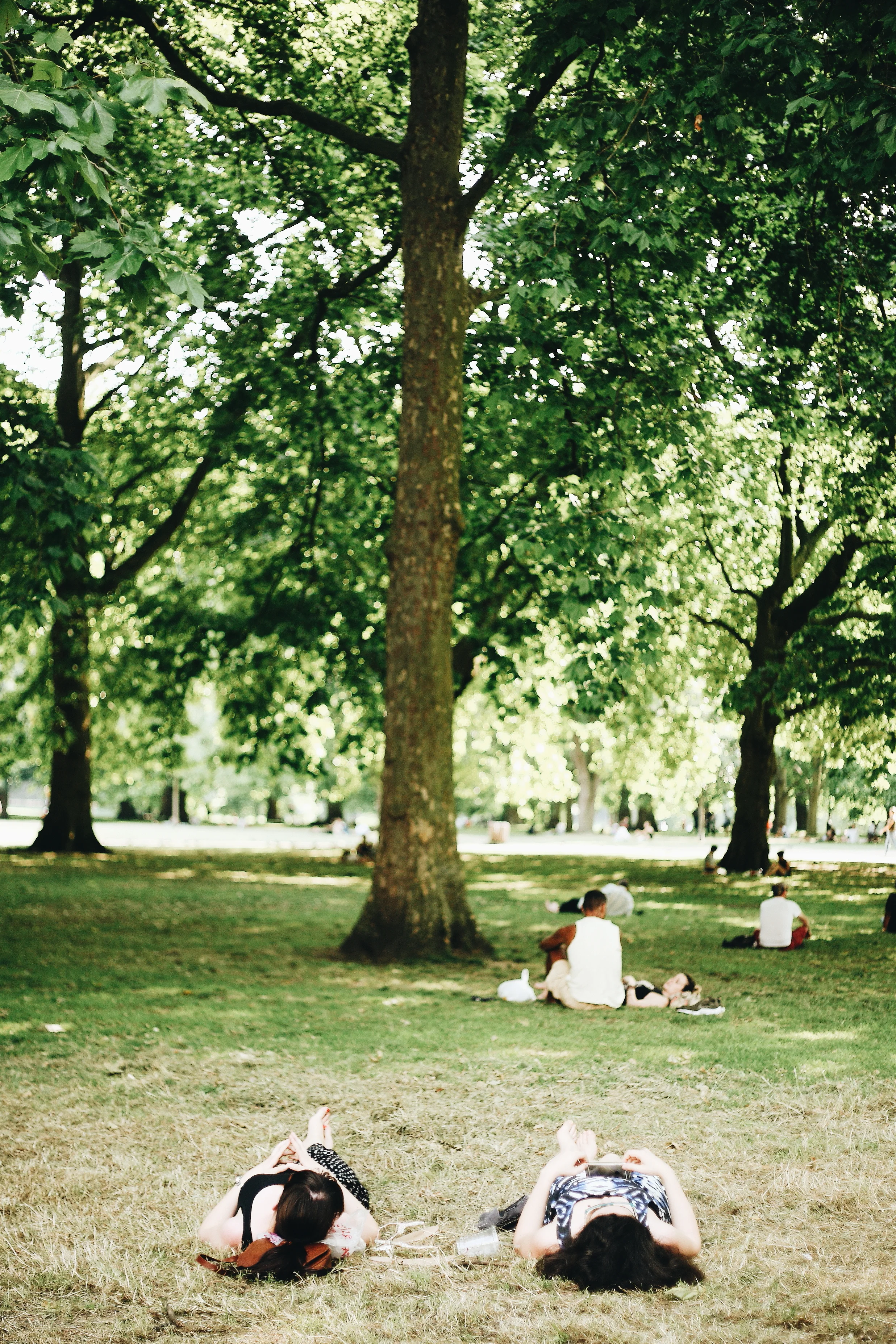 Loitering019.JPG