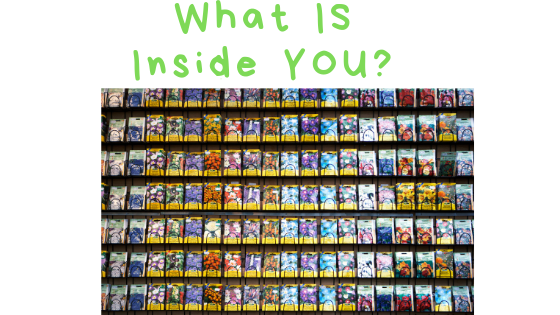 Seed Packages Reveal What’s Inside.