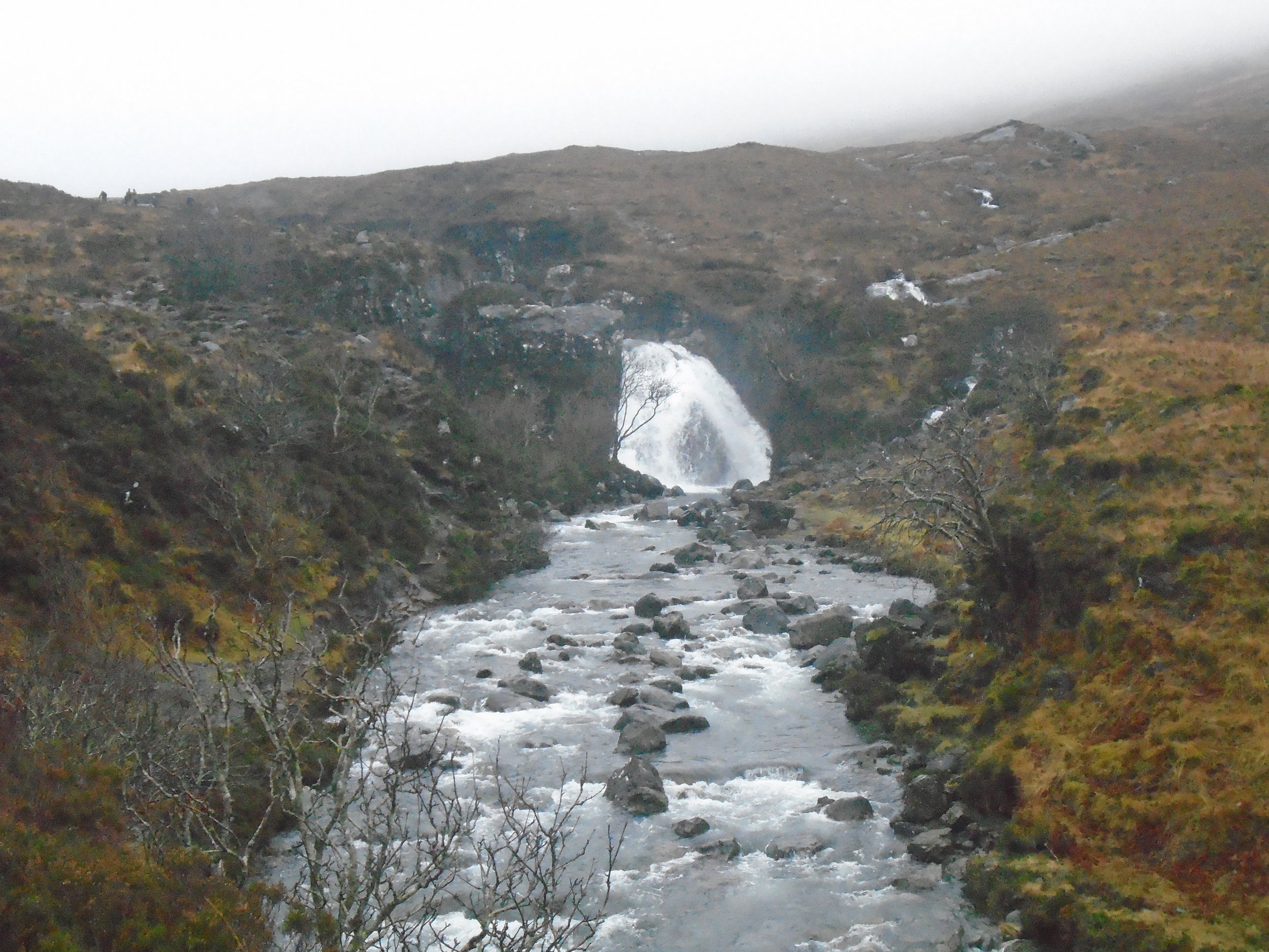 The thrill of the chase