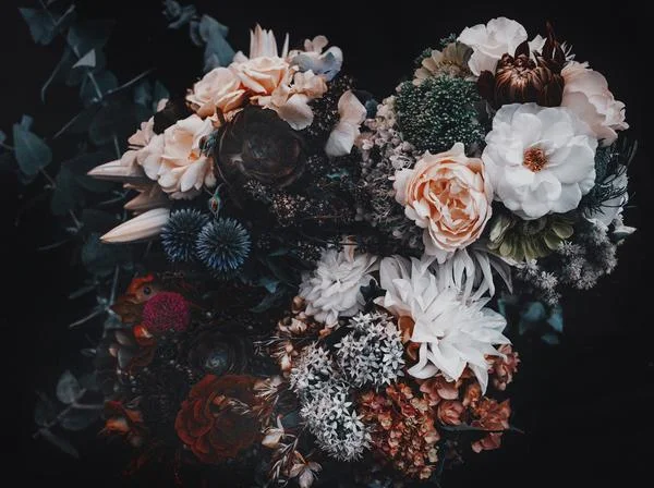 A new take on the Old masters