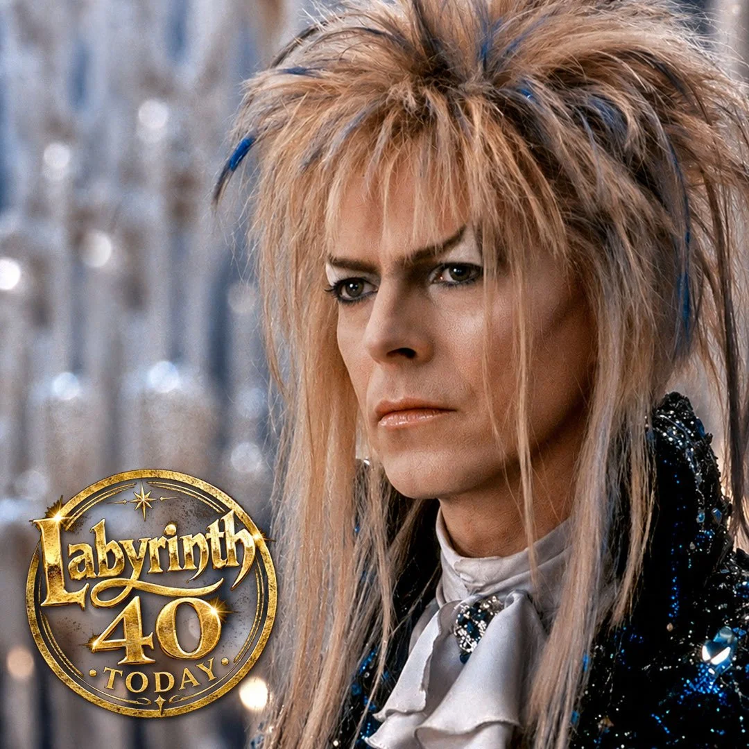 LABYRINTH 40TH - TELL US ABOUT YOUR JOURNEY