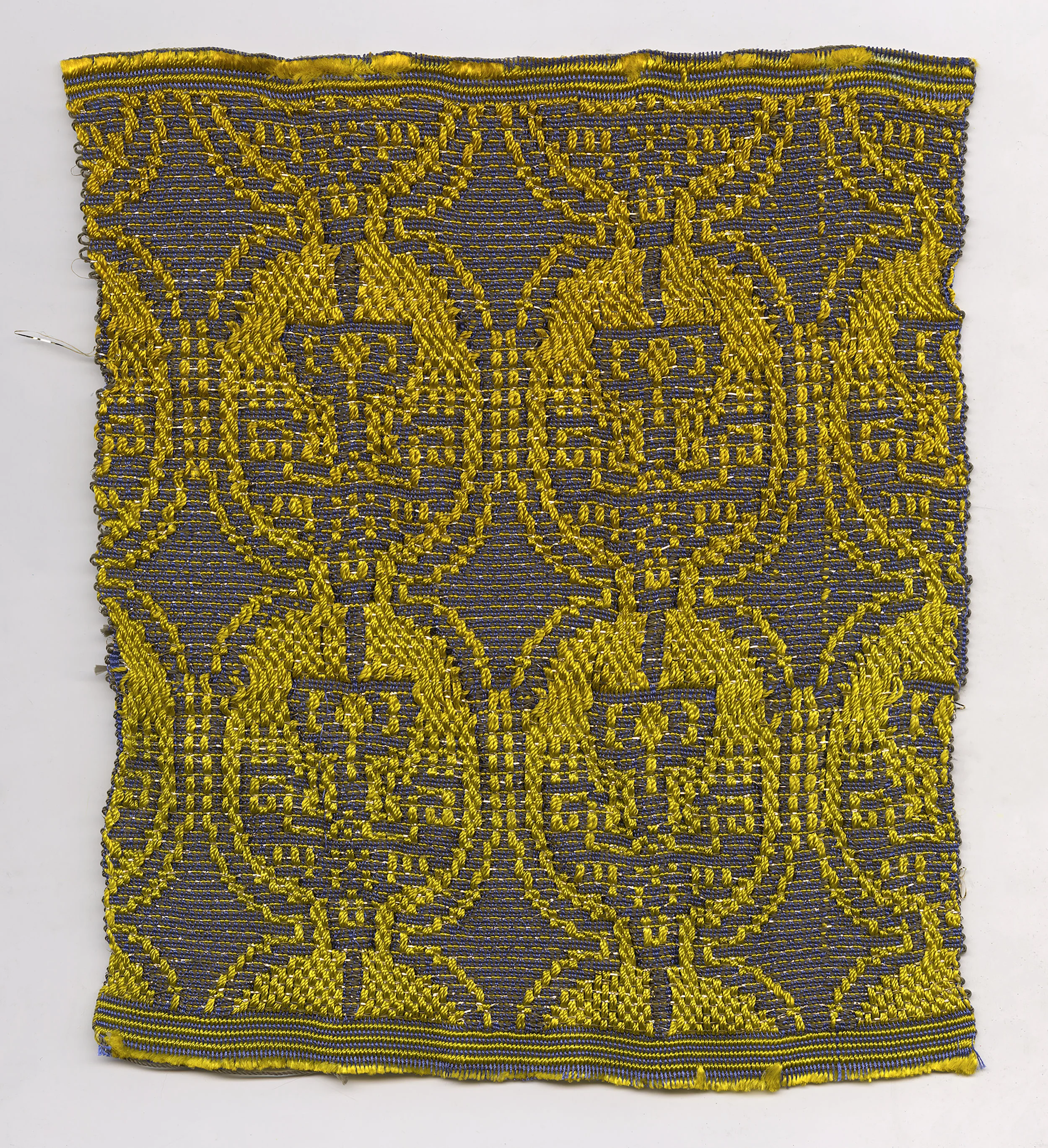 collection 2_8 back(300).jpg