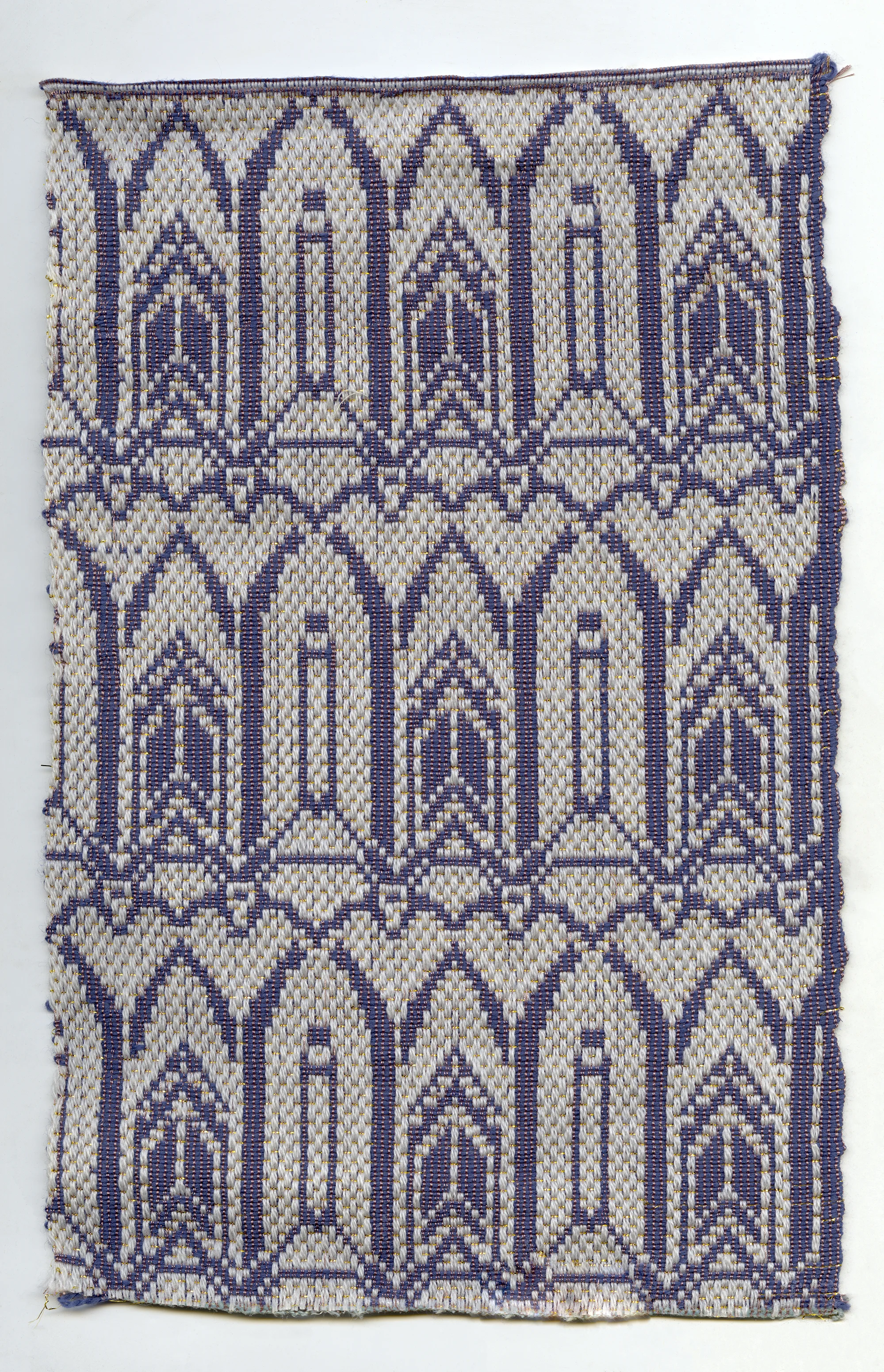 collection 5_8 back.jpg