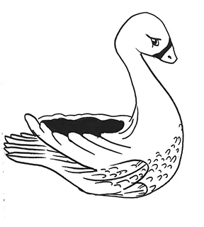 2018-03-02 02-27-56a.jpg