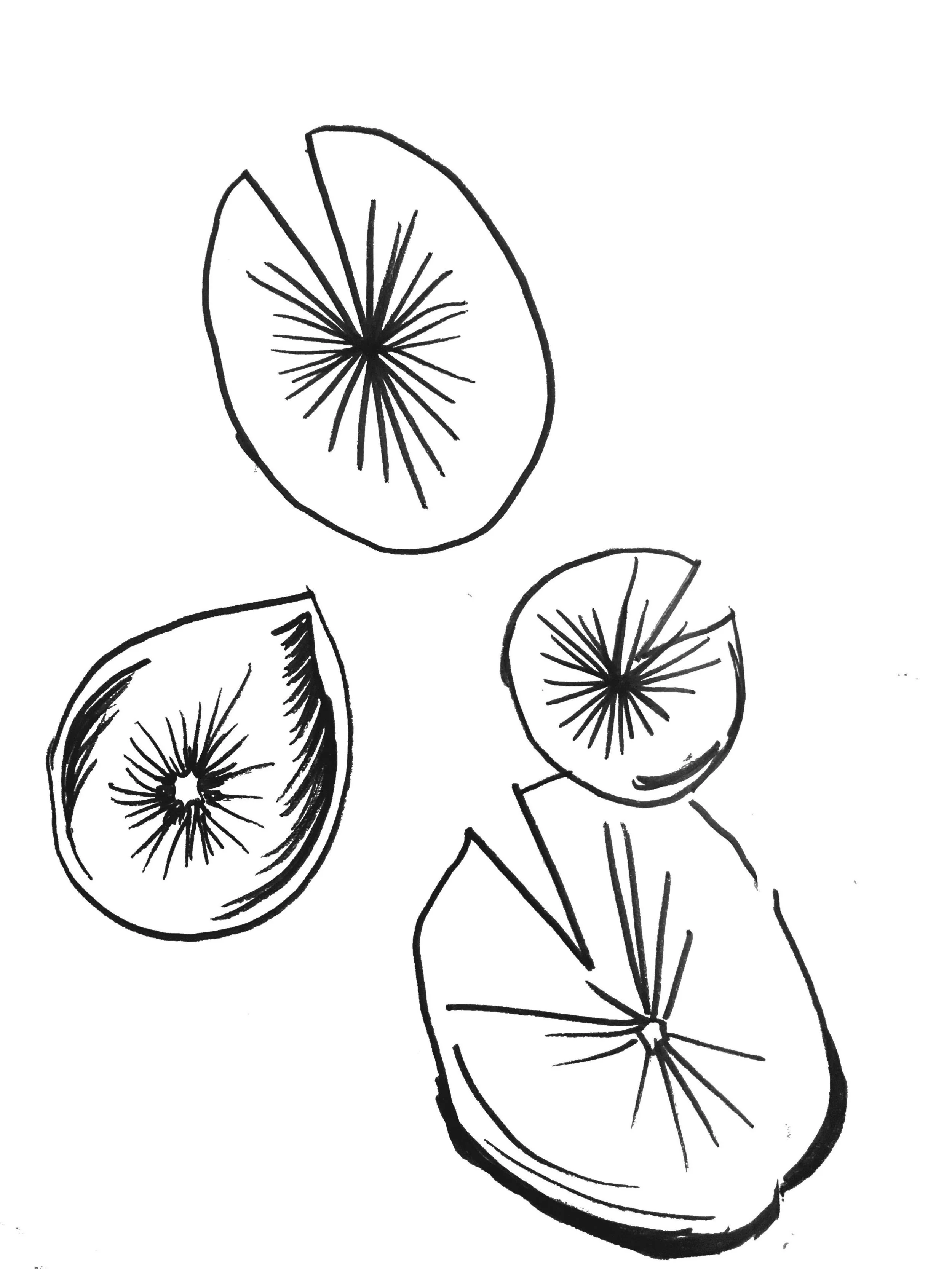 2018-03-02 03-29-46.jpg