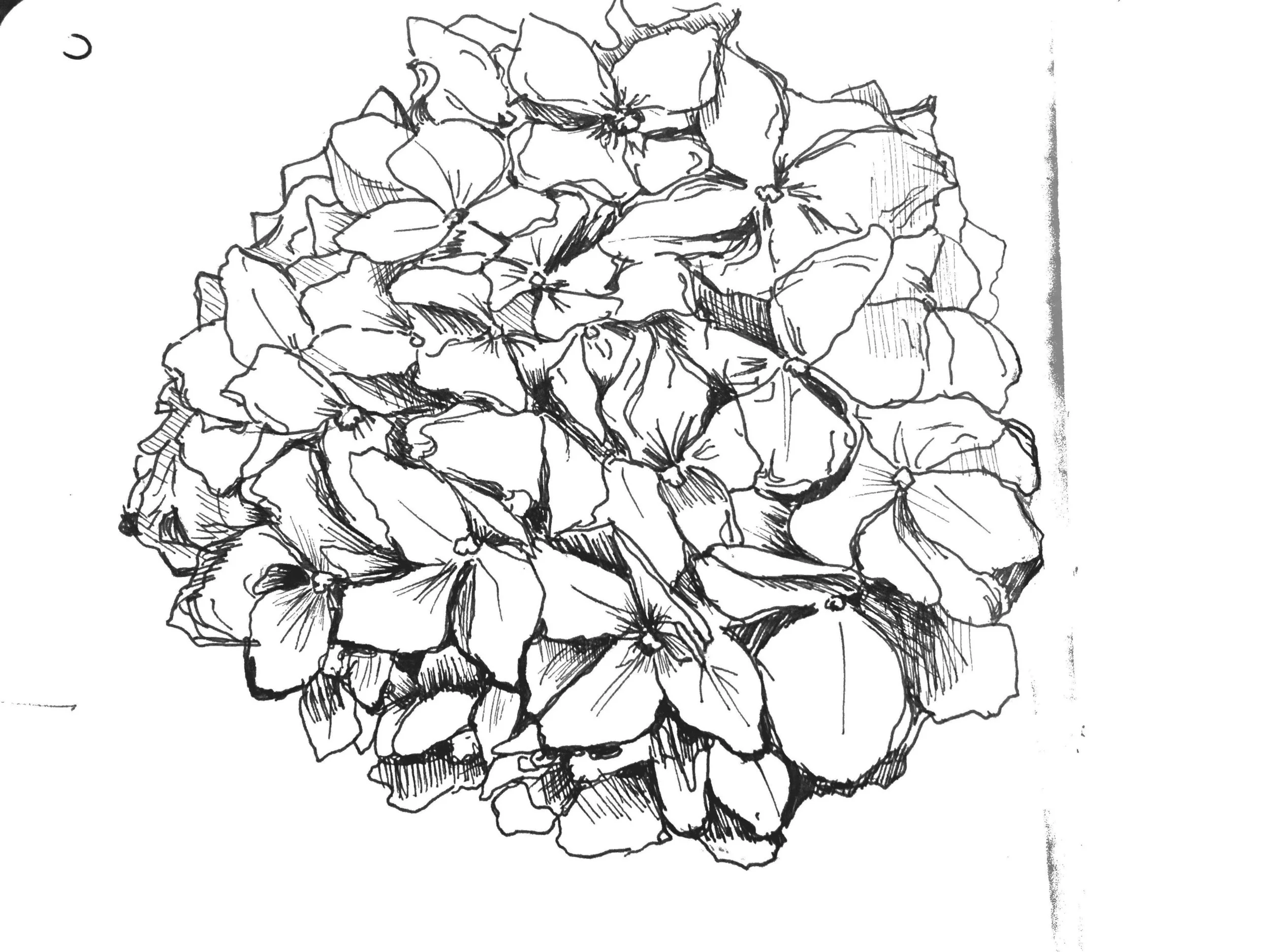 2018-03-02 03-32-05.jpg