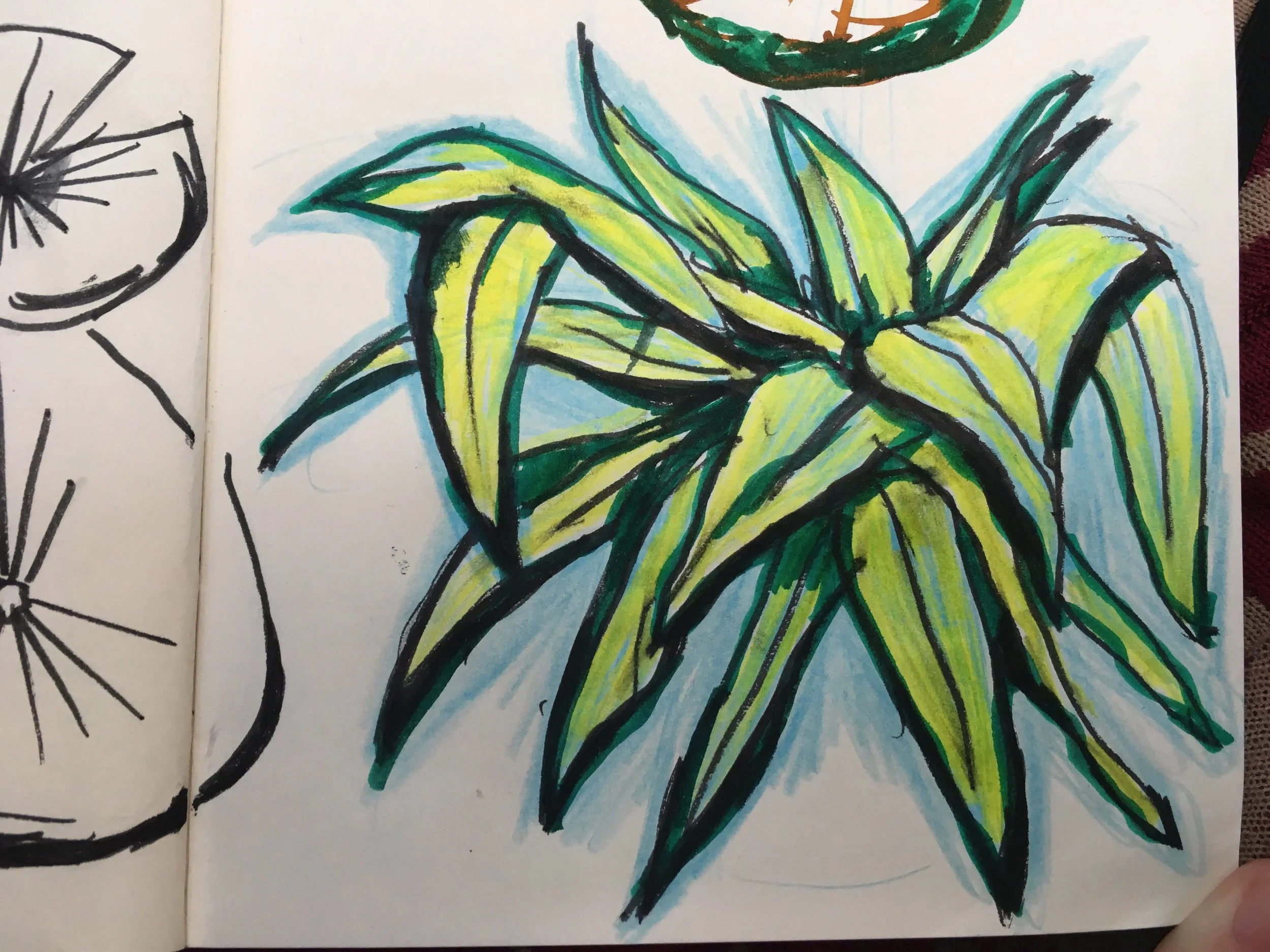 2018-03-02 11-05-01.jpg