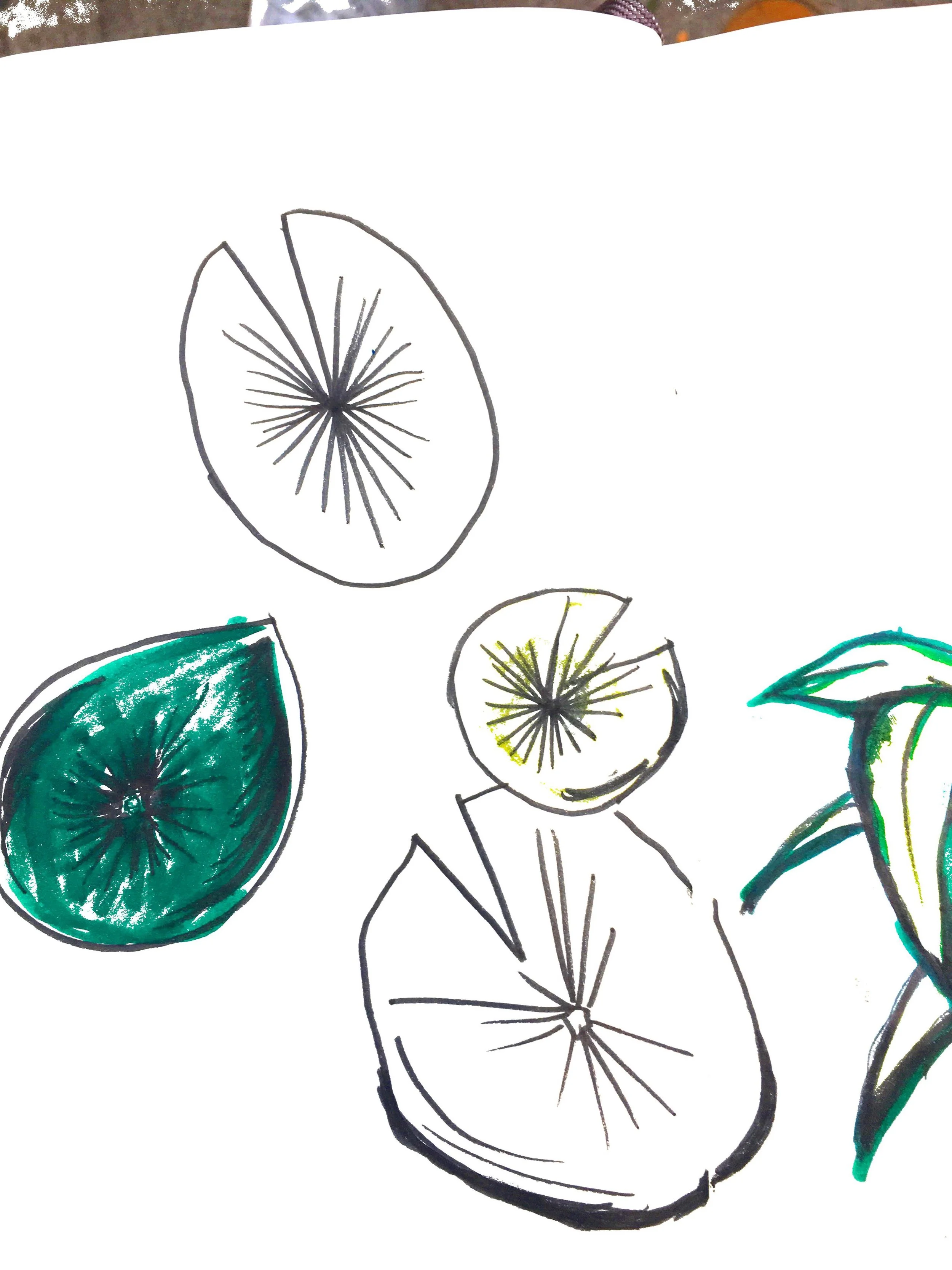 2018-03-02 11-06-08.jpg