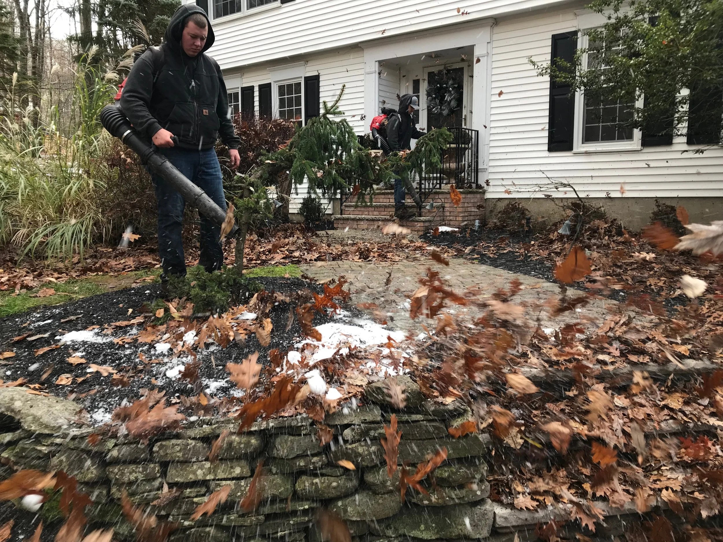 3 THINGS YOU MUST KNOW ABOUT YOUR LAWN THIS WINTER