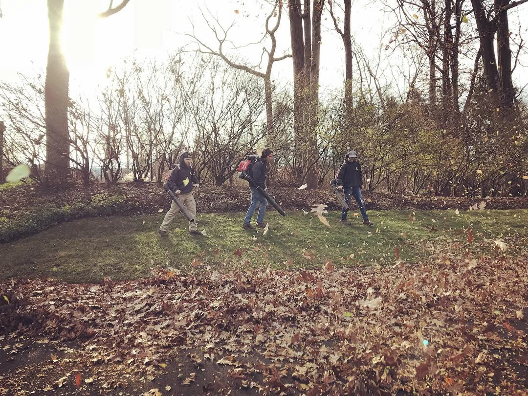 Seasonal clean up.JPG