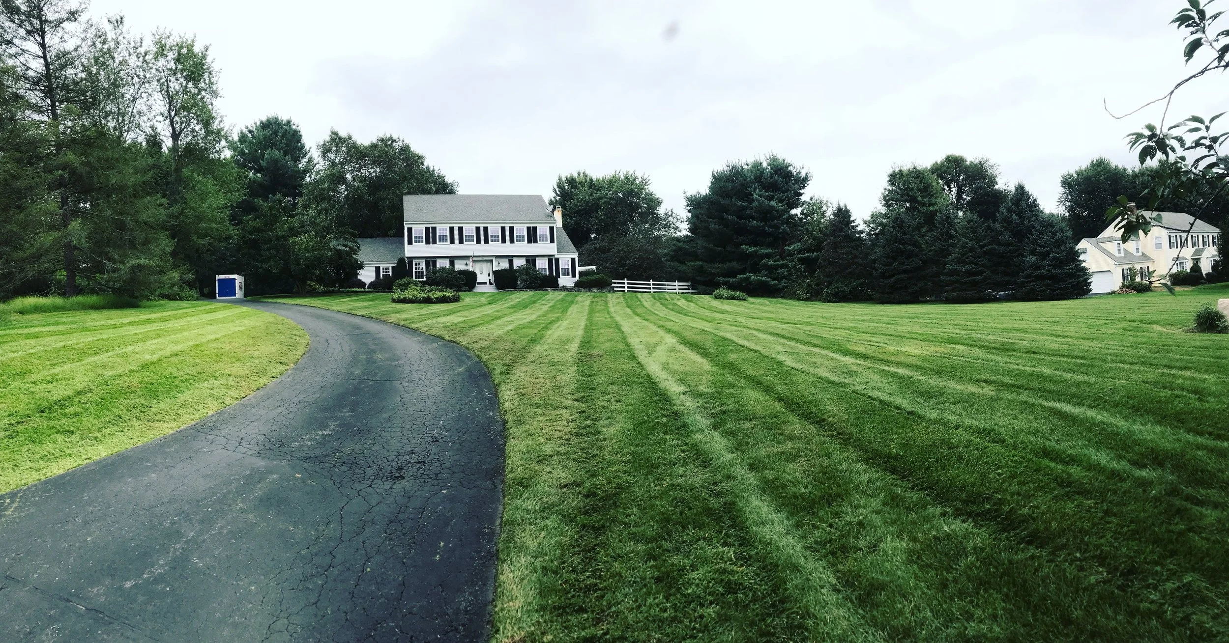 WHY ARE SPRING CLEAN-UPS ESSENTIAL