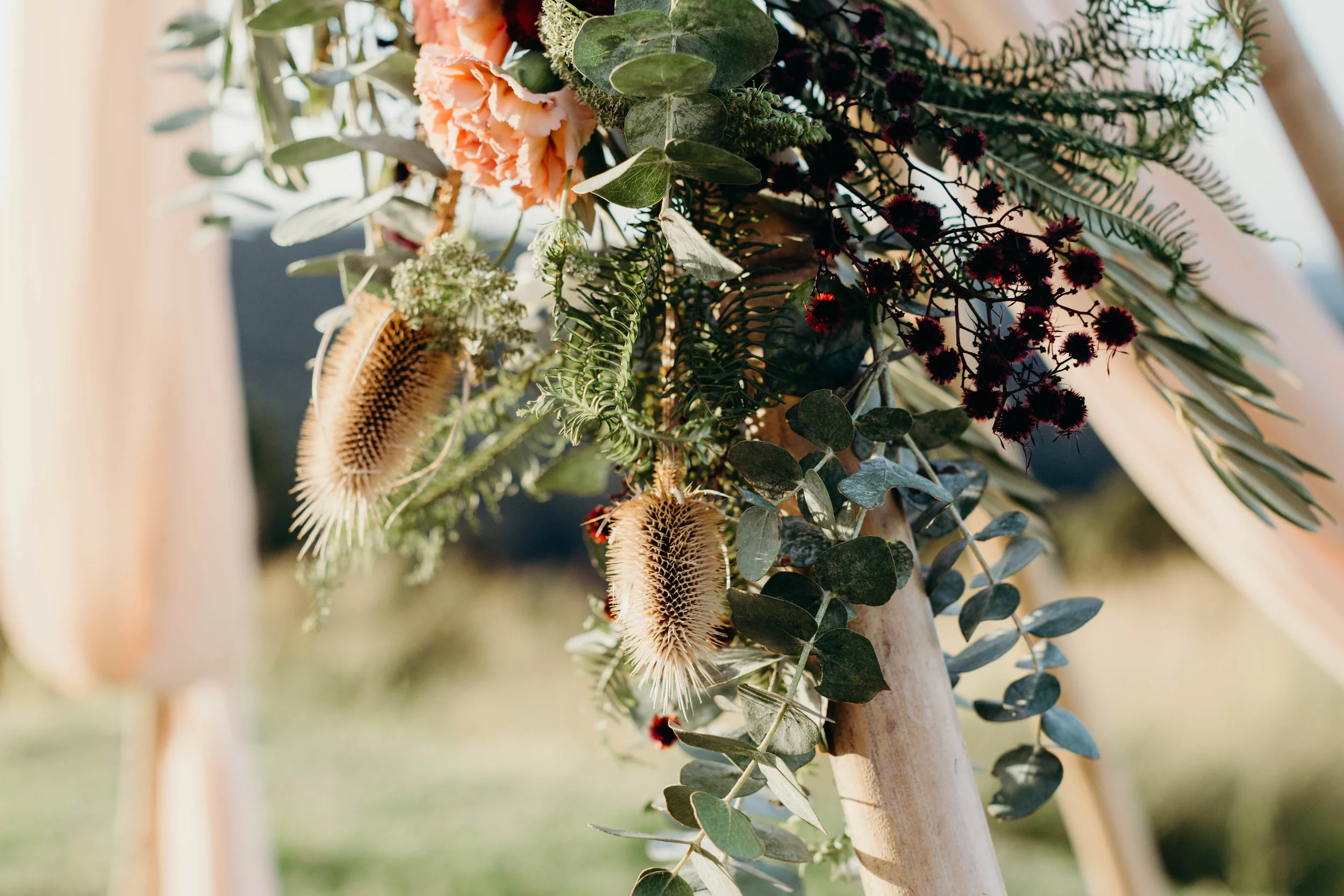 Summergrove shoot-12.jpg