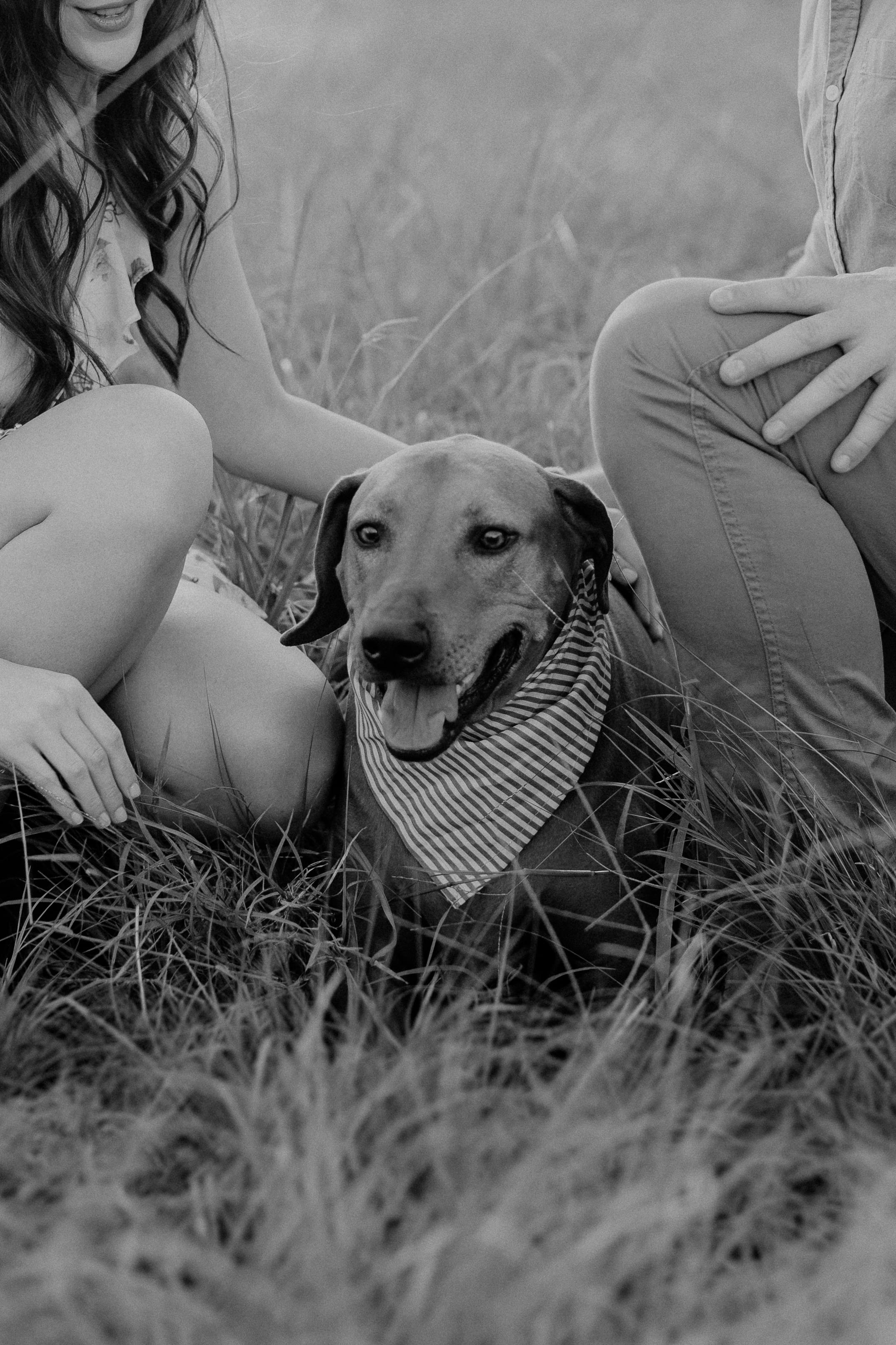 Gold Coast Engagement-37.jpg