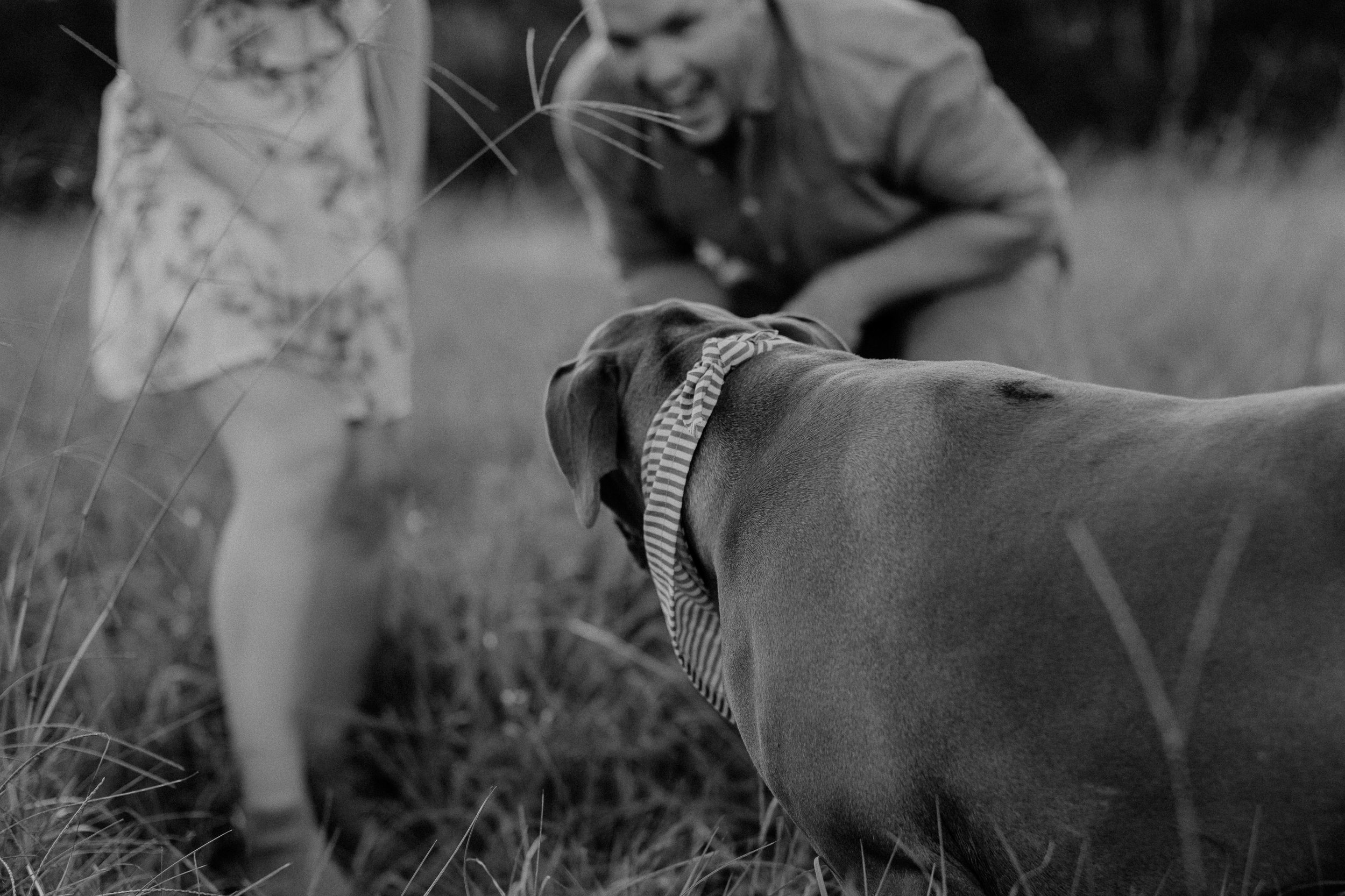Gold Coast Engagement-34.jpg