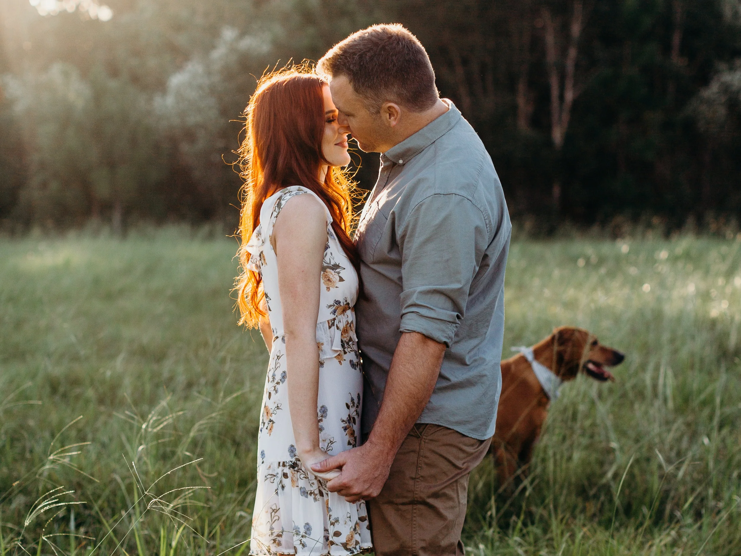 Romance and a Ridgeback
