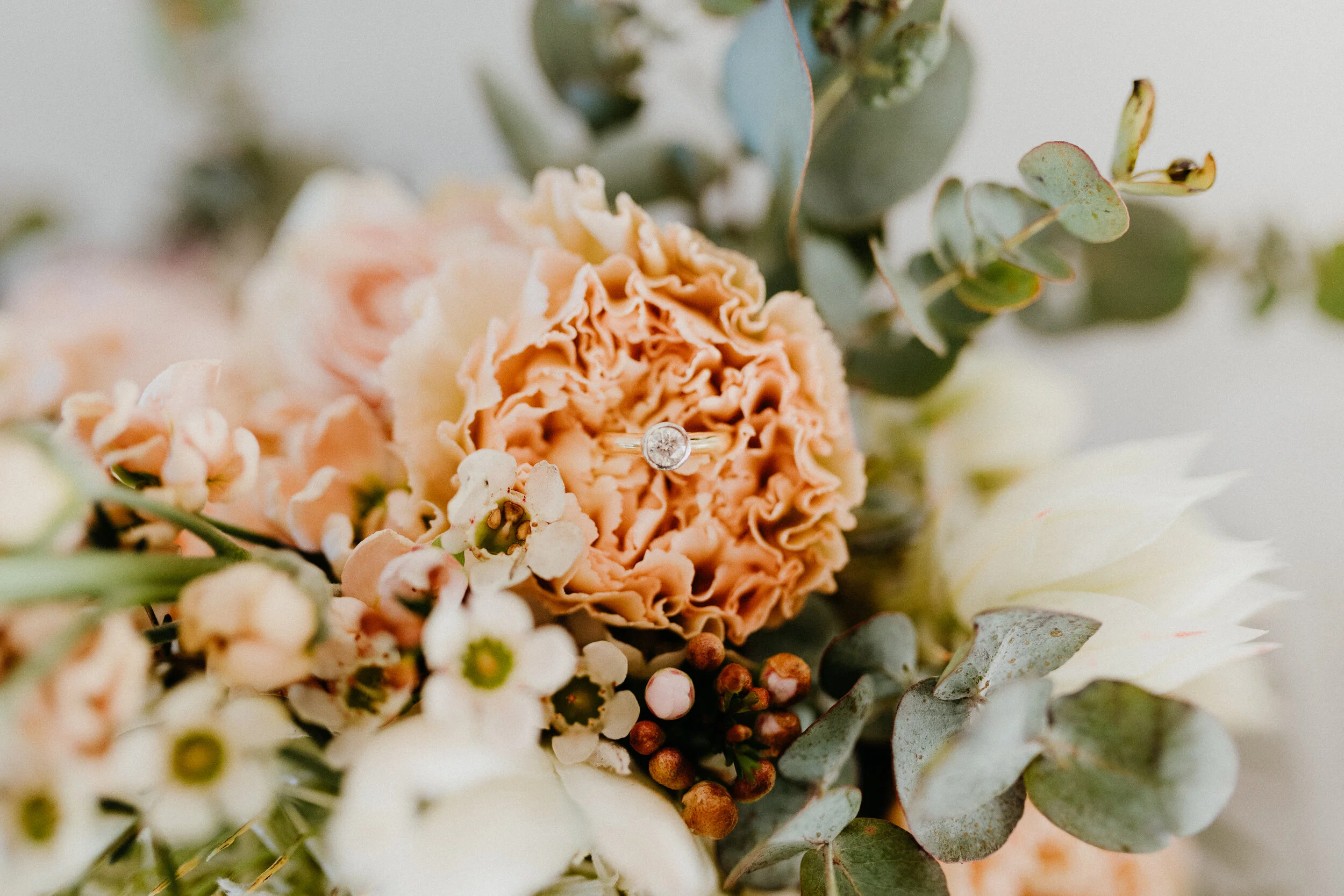 Gold Coast Wedding Photographer