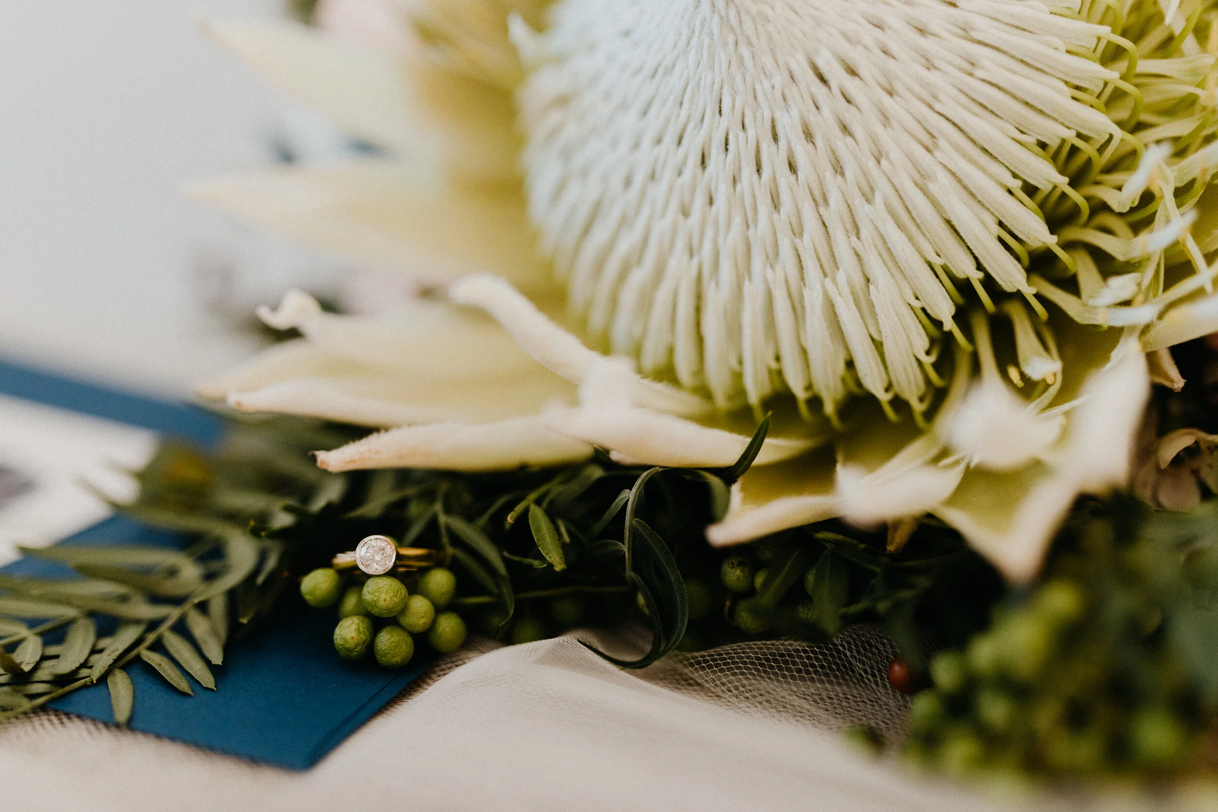 Gold Coast Wedding Photographer