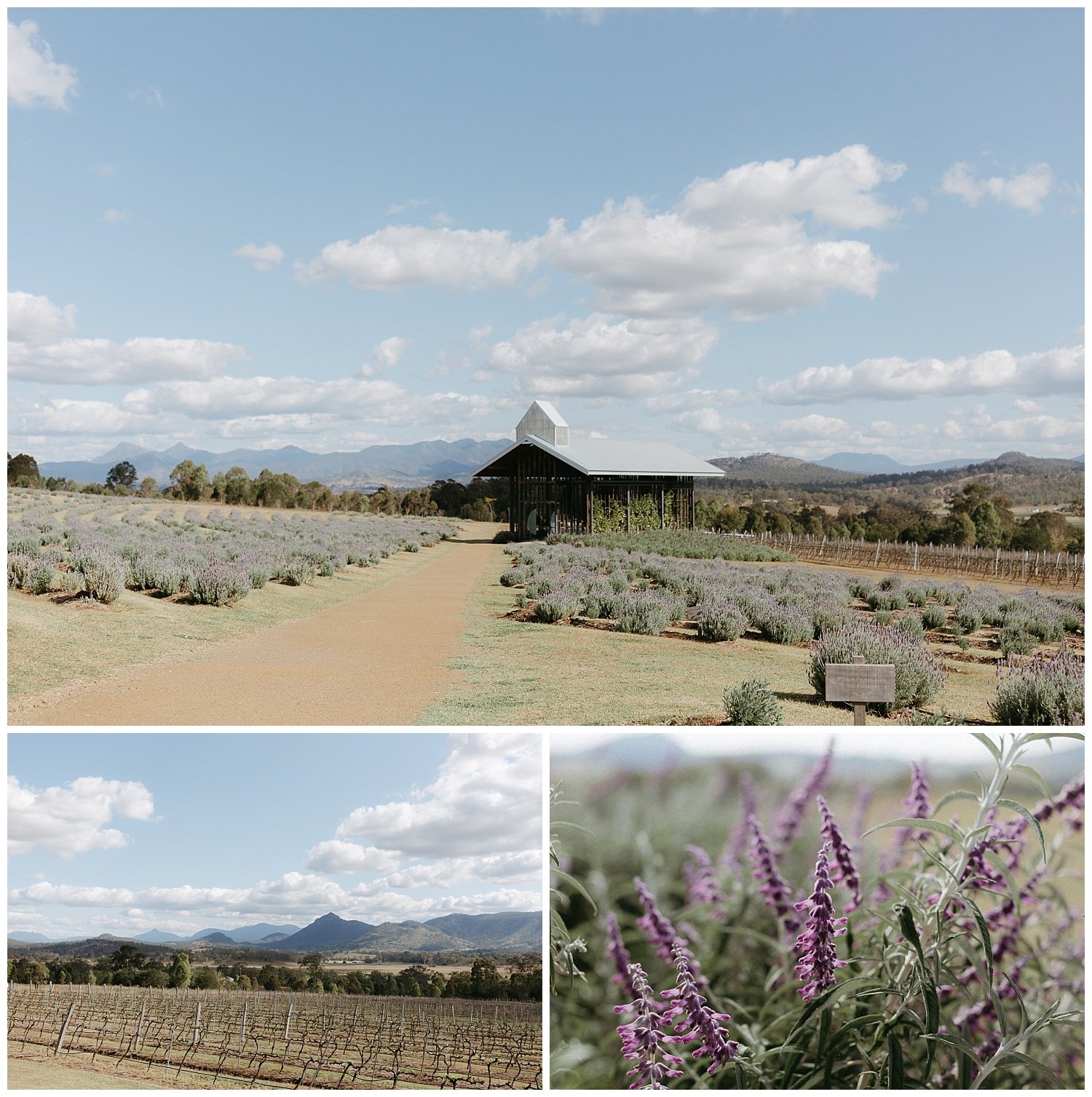 Scenic Rim Wedding Photographer _ Gold Coast Wedding Photographer