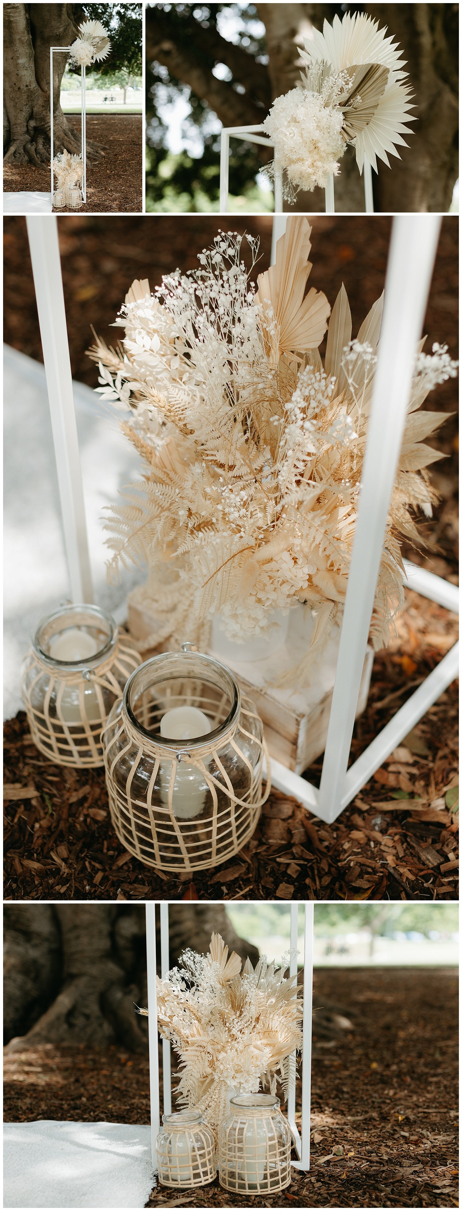 A micro wedding at New Farm Park in Brisbane