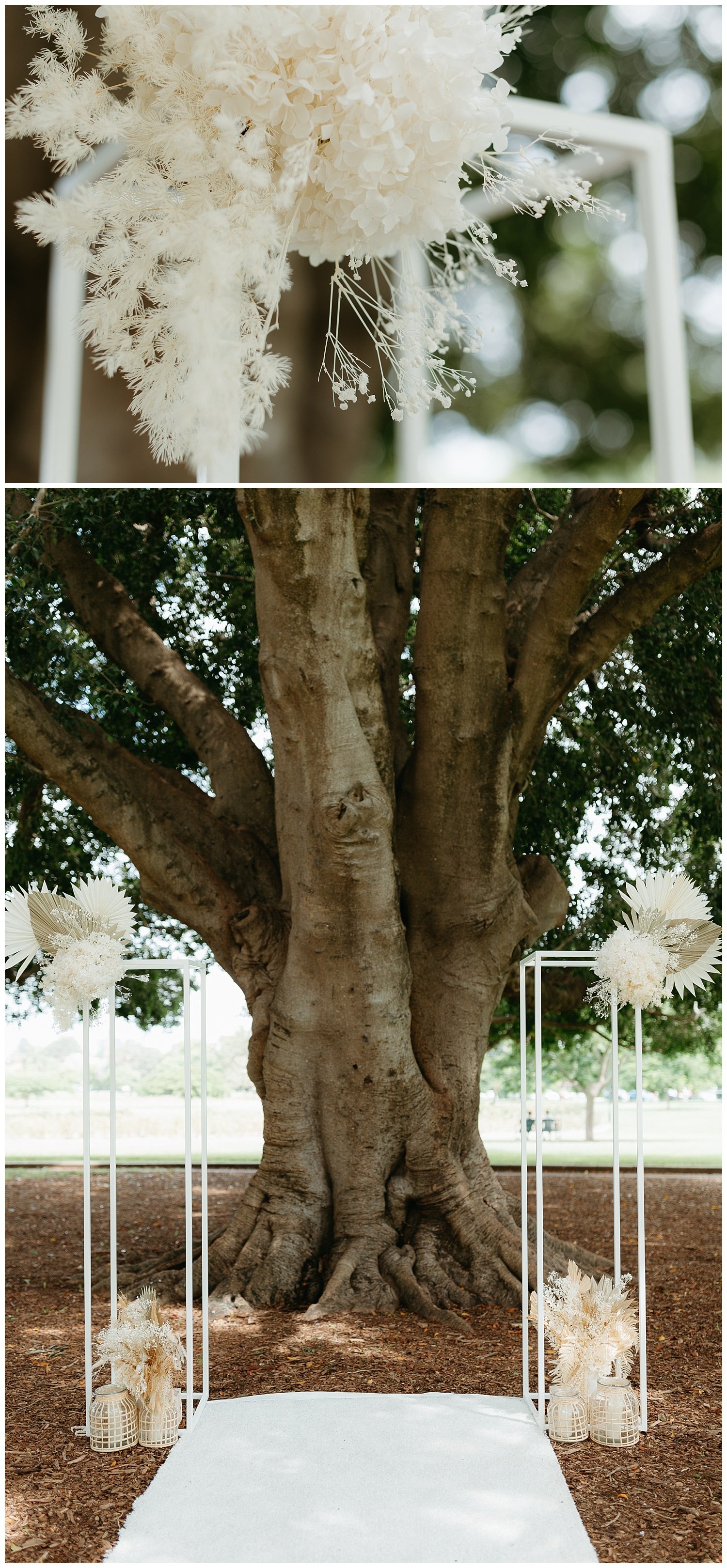 A micro wedding at New Farm Park in Brisbane