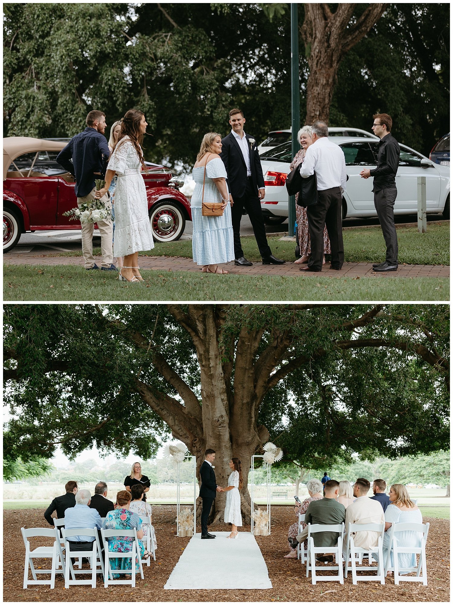 A micro wedding at New Farm Park in Brisbane