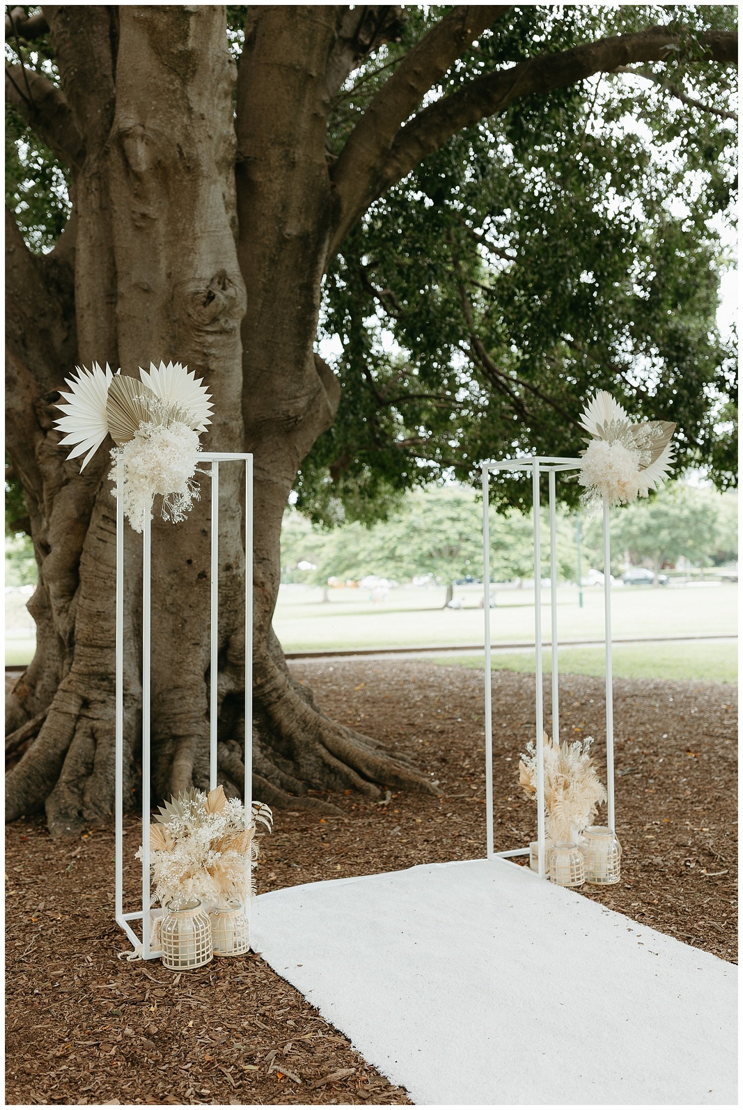 A micro wedding at New Farm Park in Brisbane