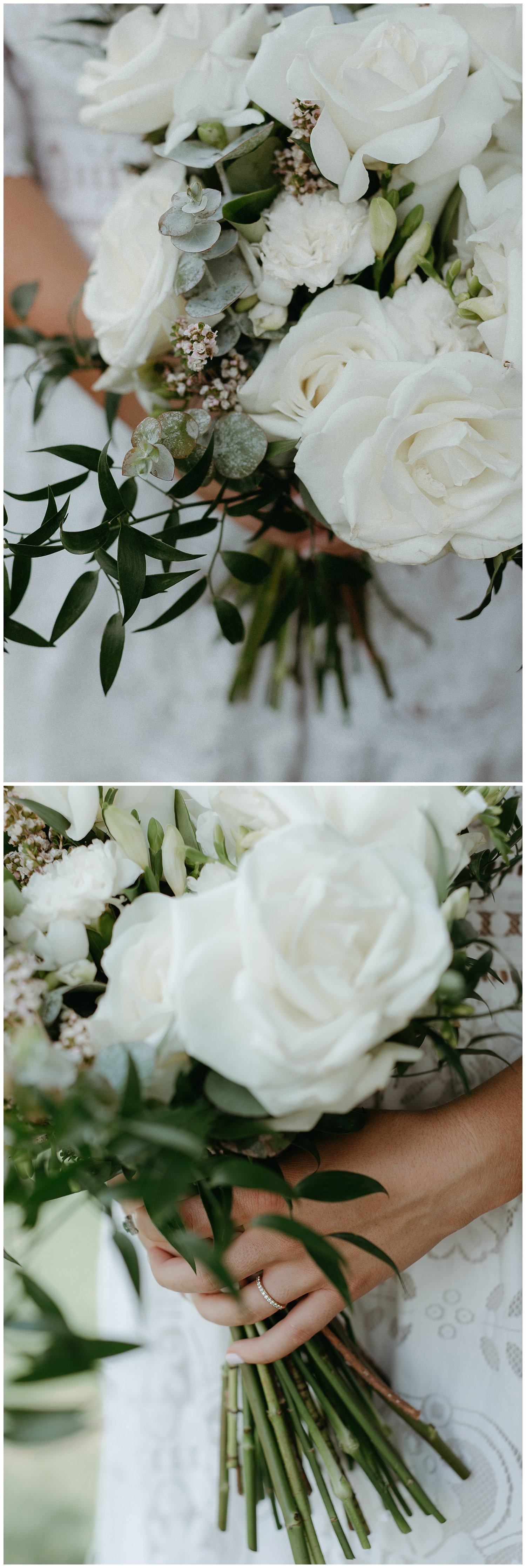 A micro wedding at New Farm Park in Brisbane