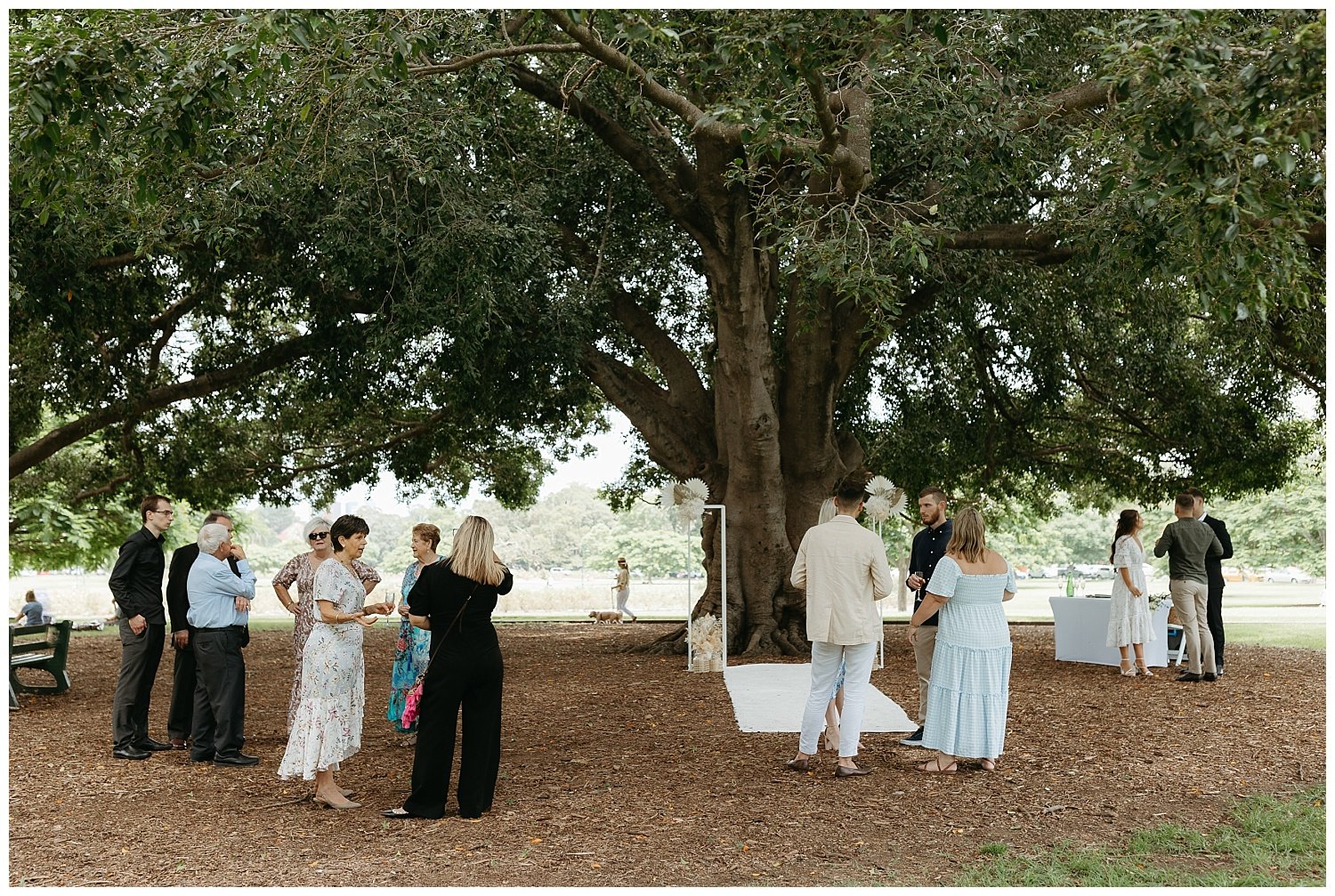A micro wedding at New Farm Park in Brisbane